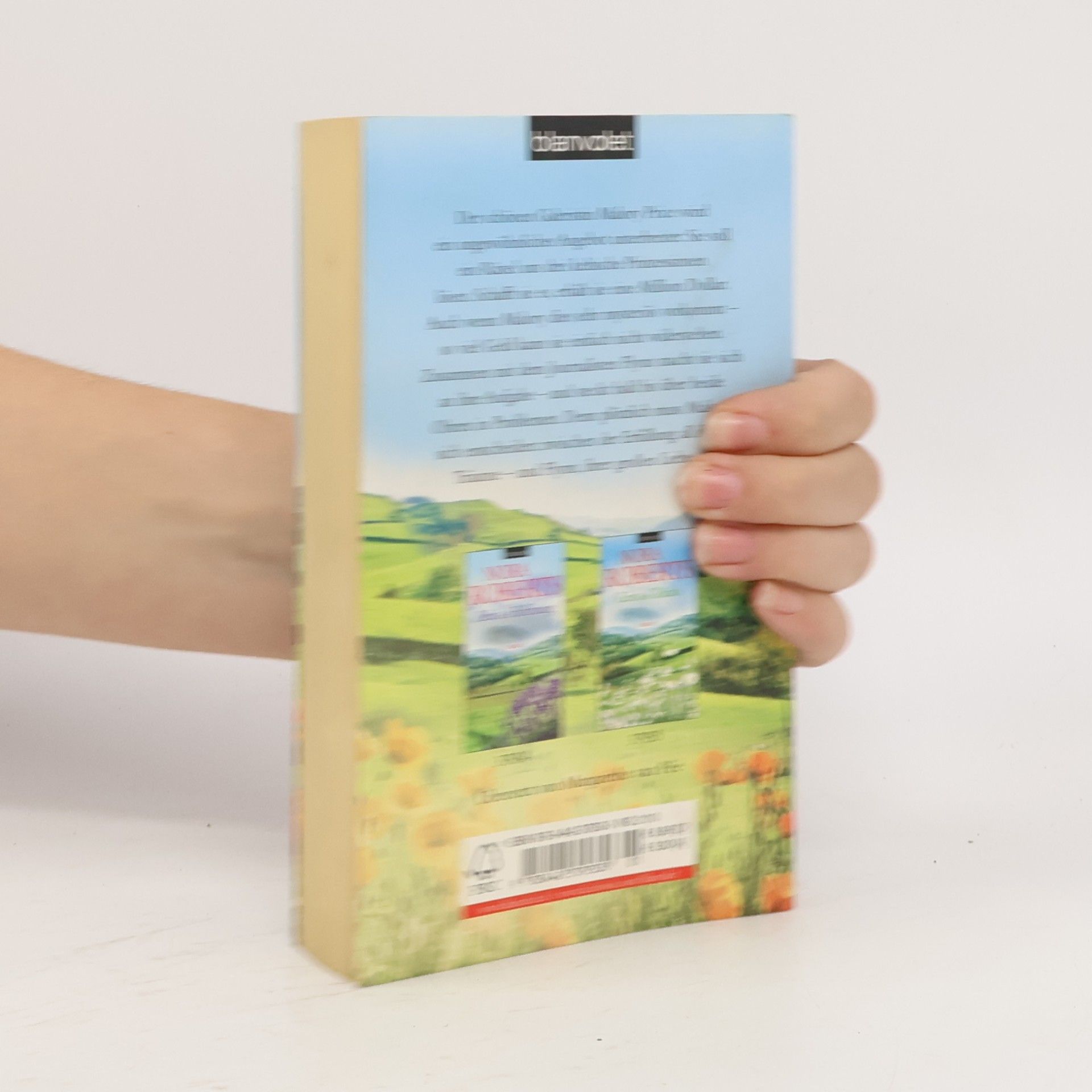 Nora Roberts Zeit der Träume
