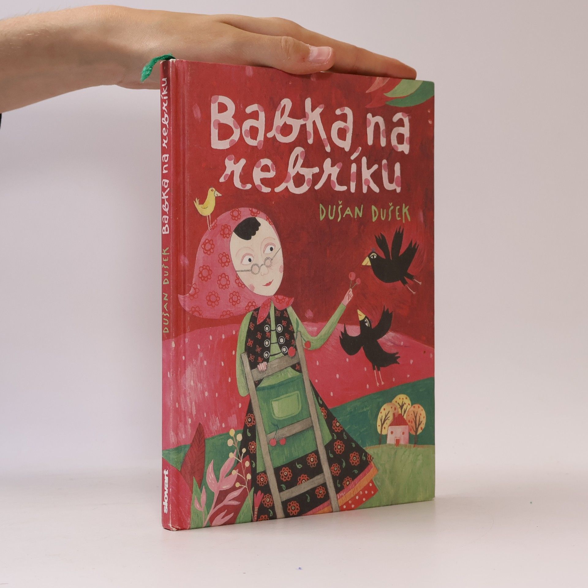 Dušan Dušek Babka na rebríku