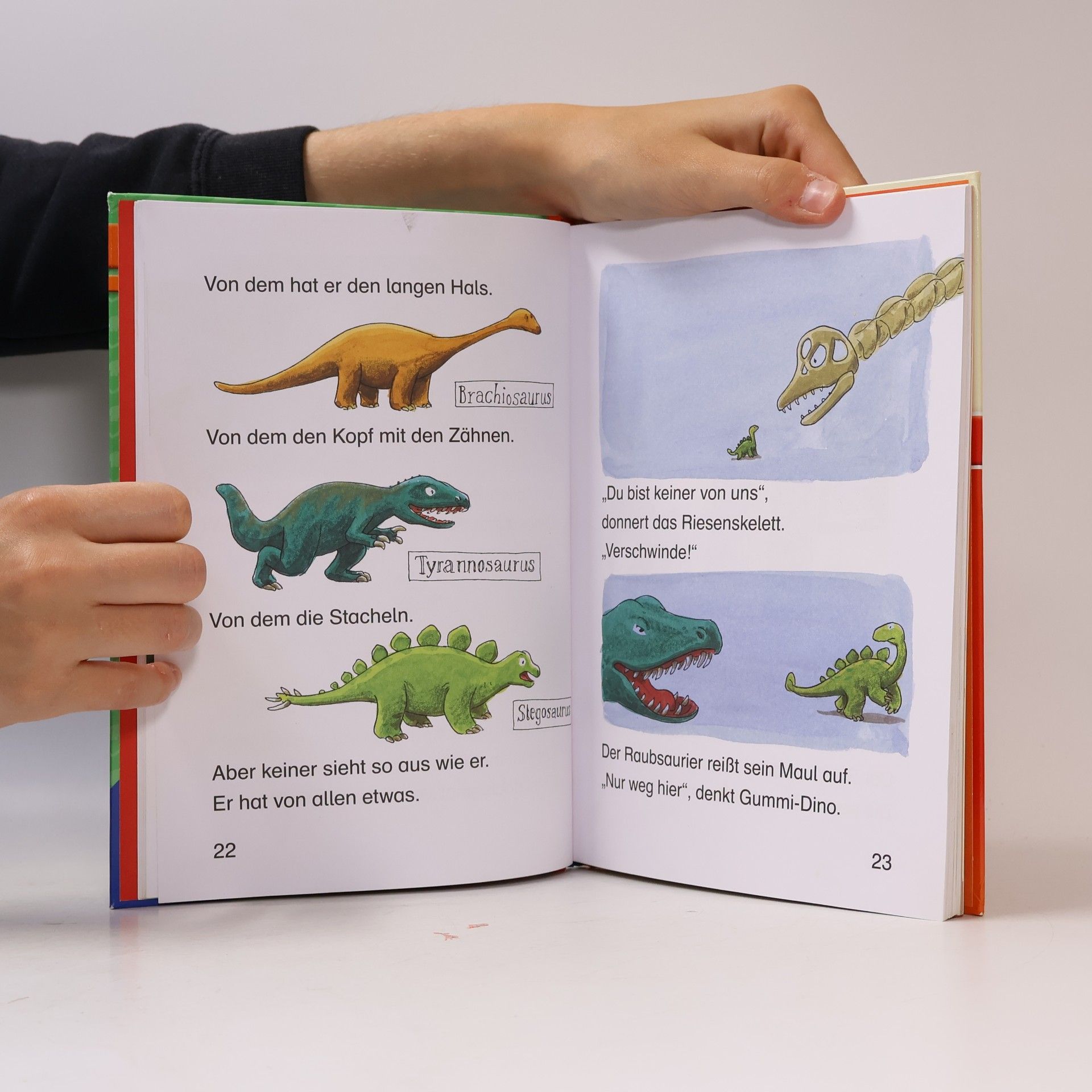 Claudia Ondracek Dinoabenteuer für Erstleser