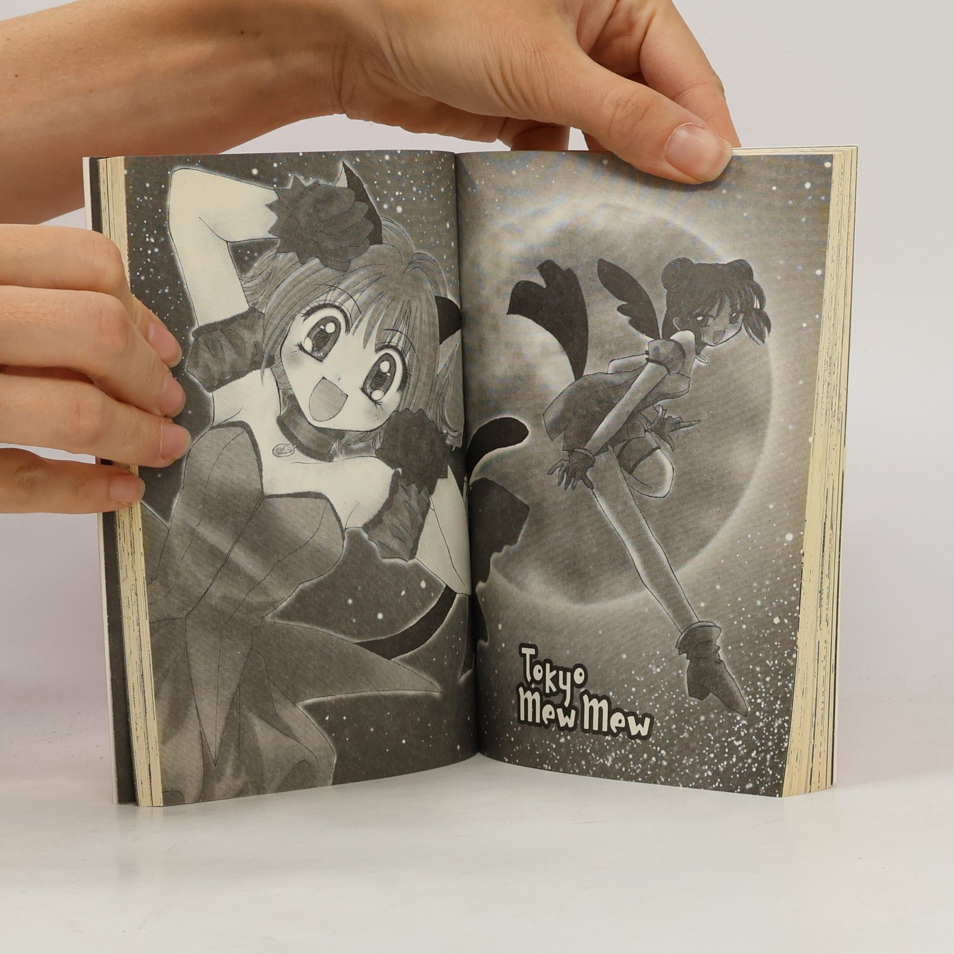 Reiko Yoshida Tokyo-mew-mew 1