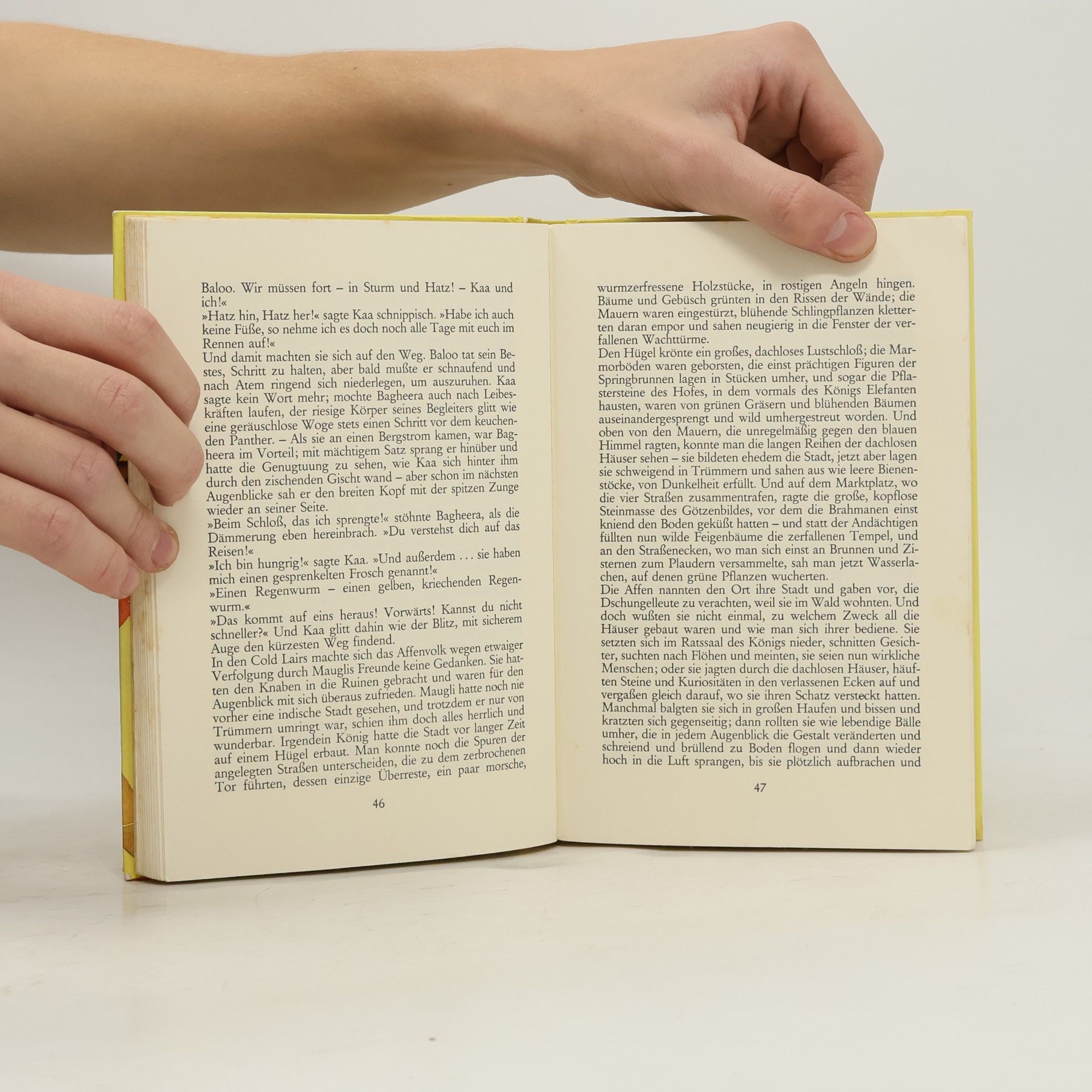 Rudyard Kipling Das Dschungelbuch