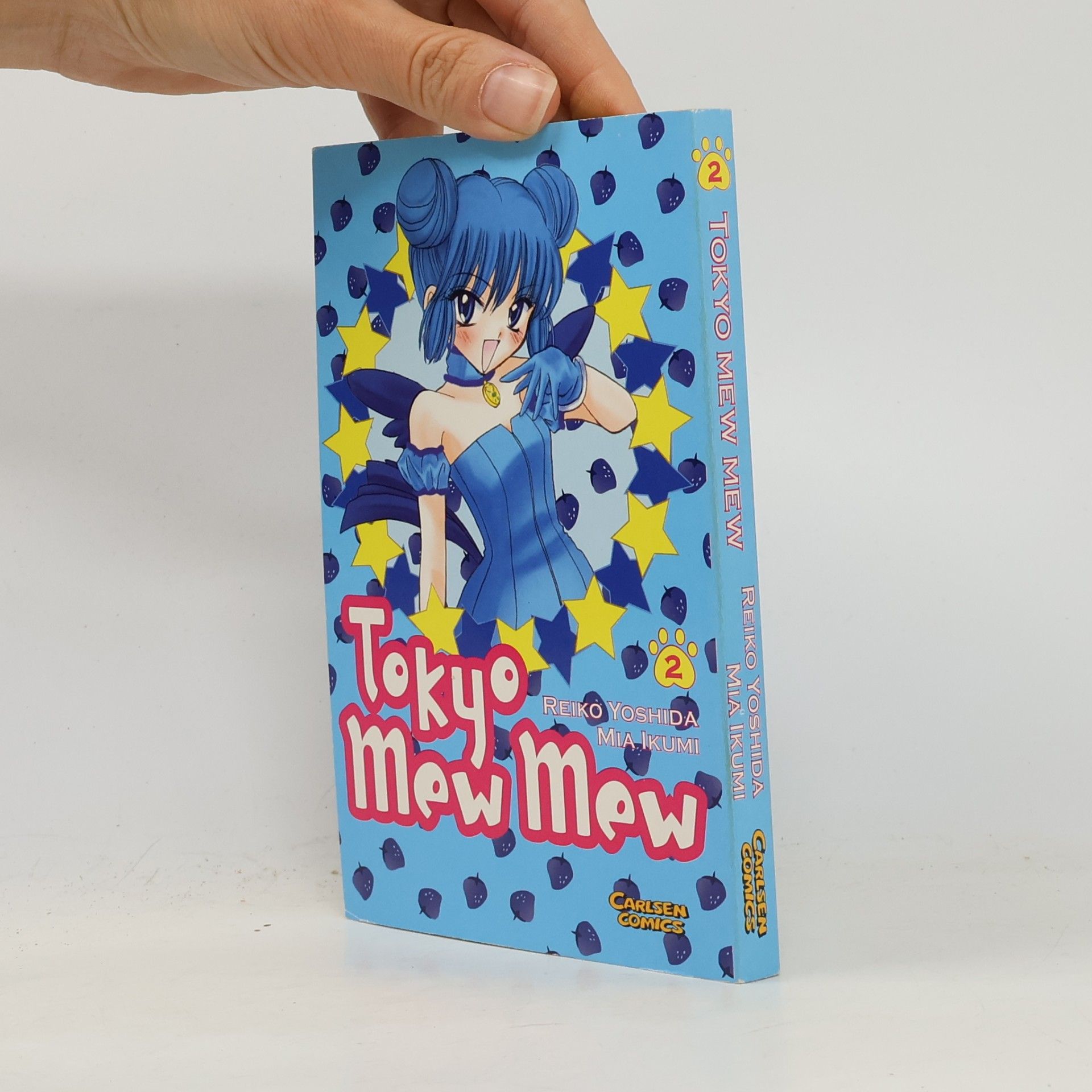 Reiko Yoshida Tokyo-mew-mew 2