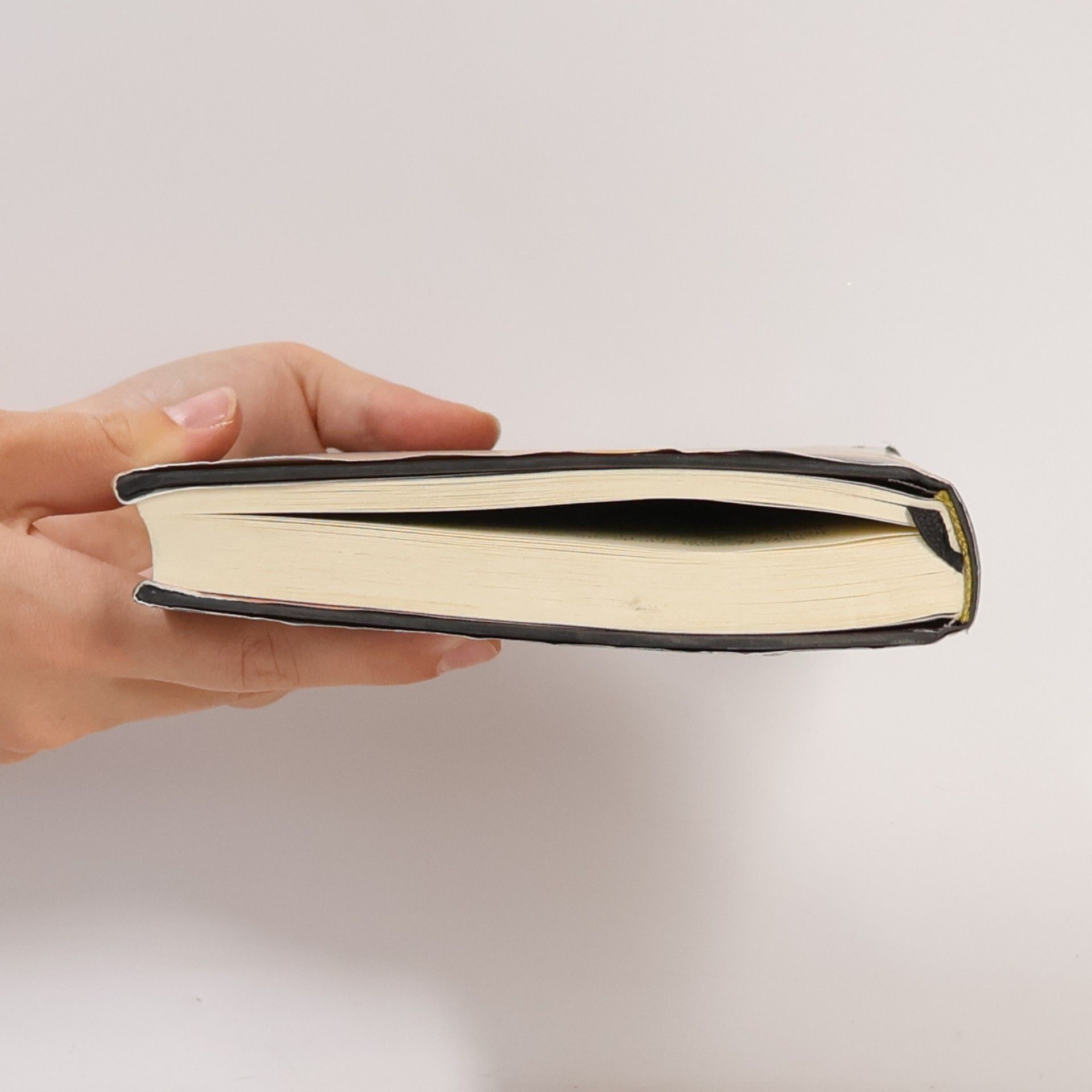 Stephenie Meyer Biss zum ersten Sonnenstrahl