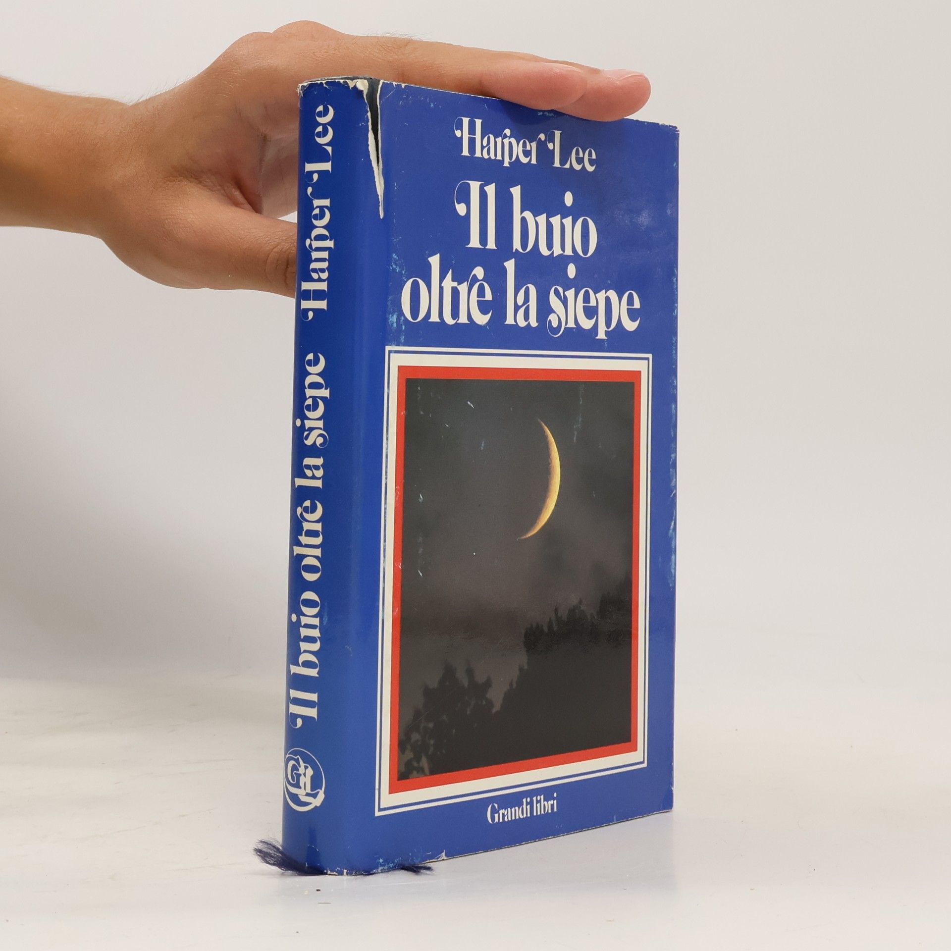 il buio oltre la siepe