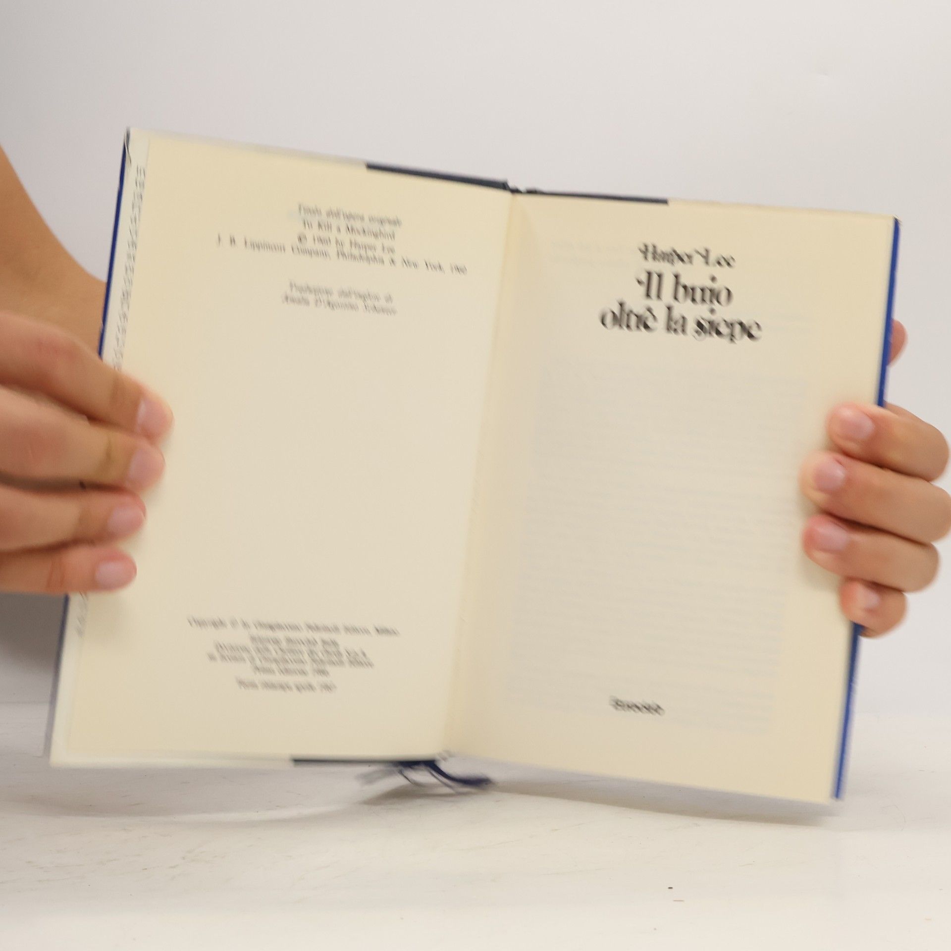 Harper Lee il buio oltre la siepe