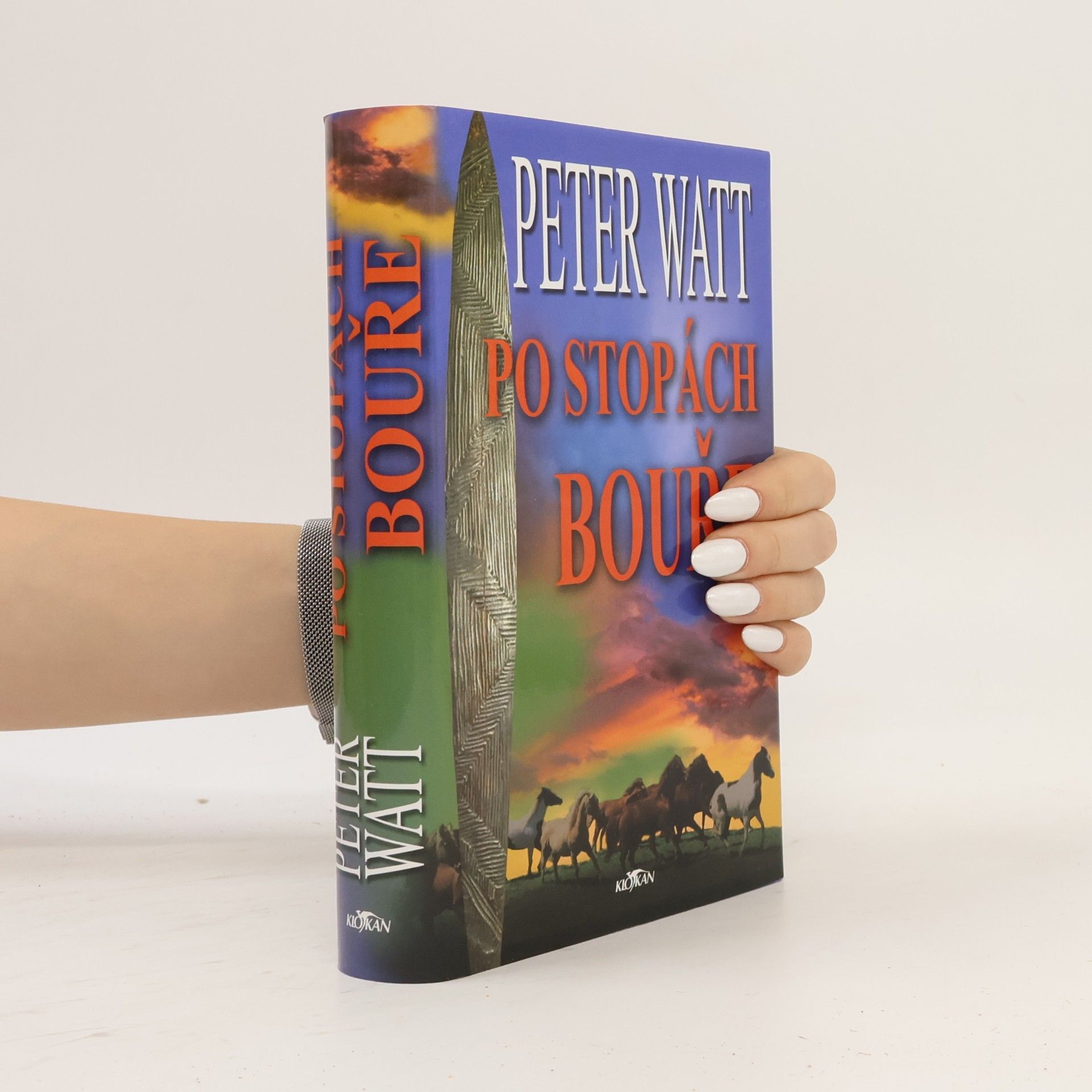 Peter Watt Po stopách bouře