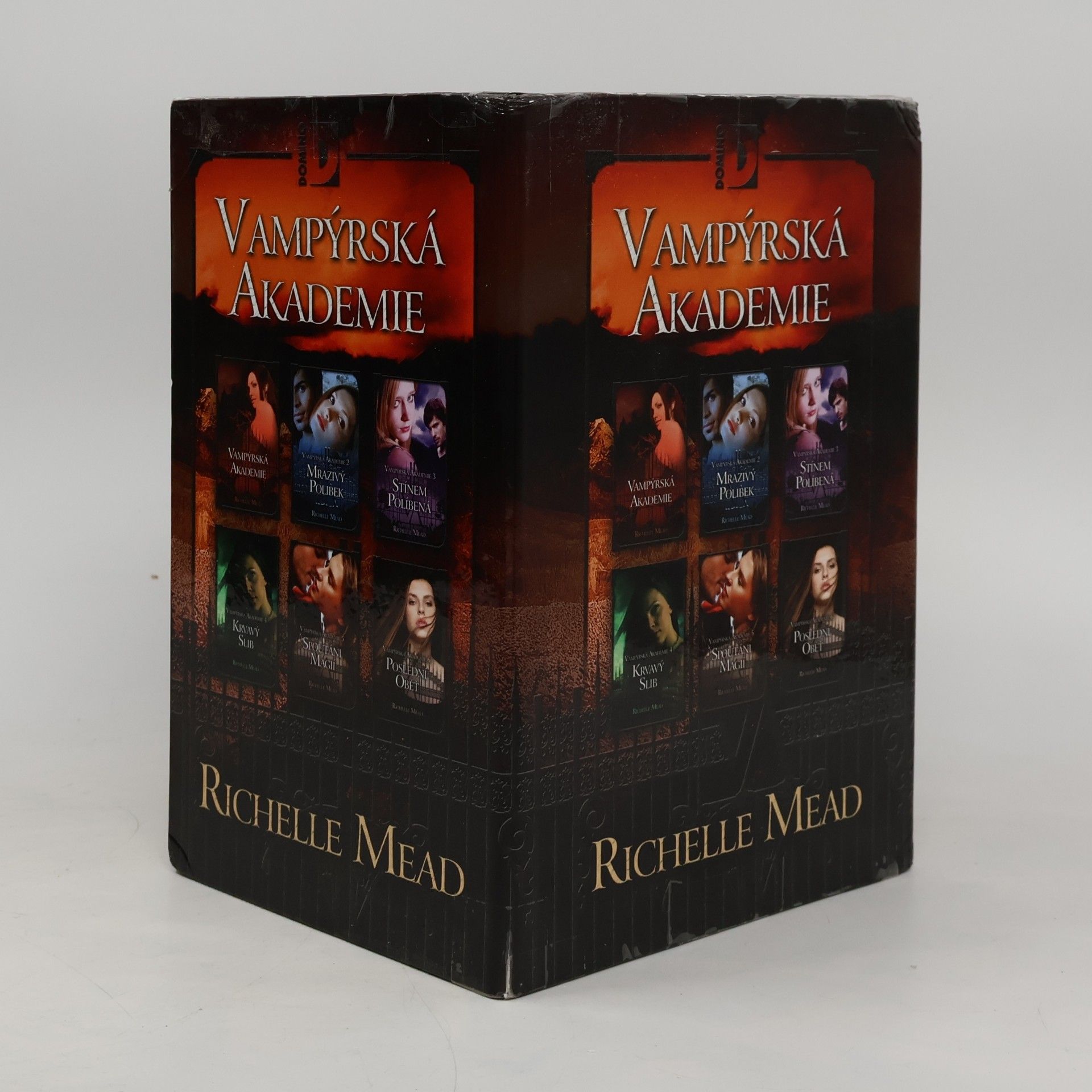Richelle Mead Vampýrská akademie 1-6