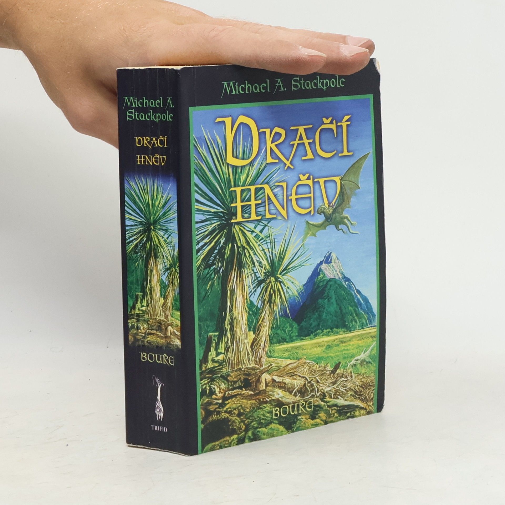 Michael A. Stackpole Bouře. Dračí hněv 2