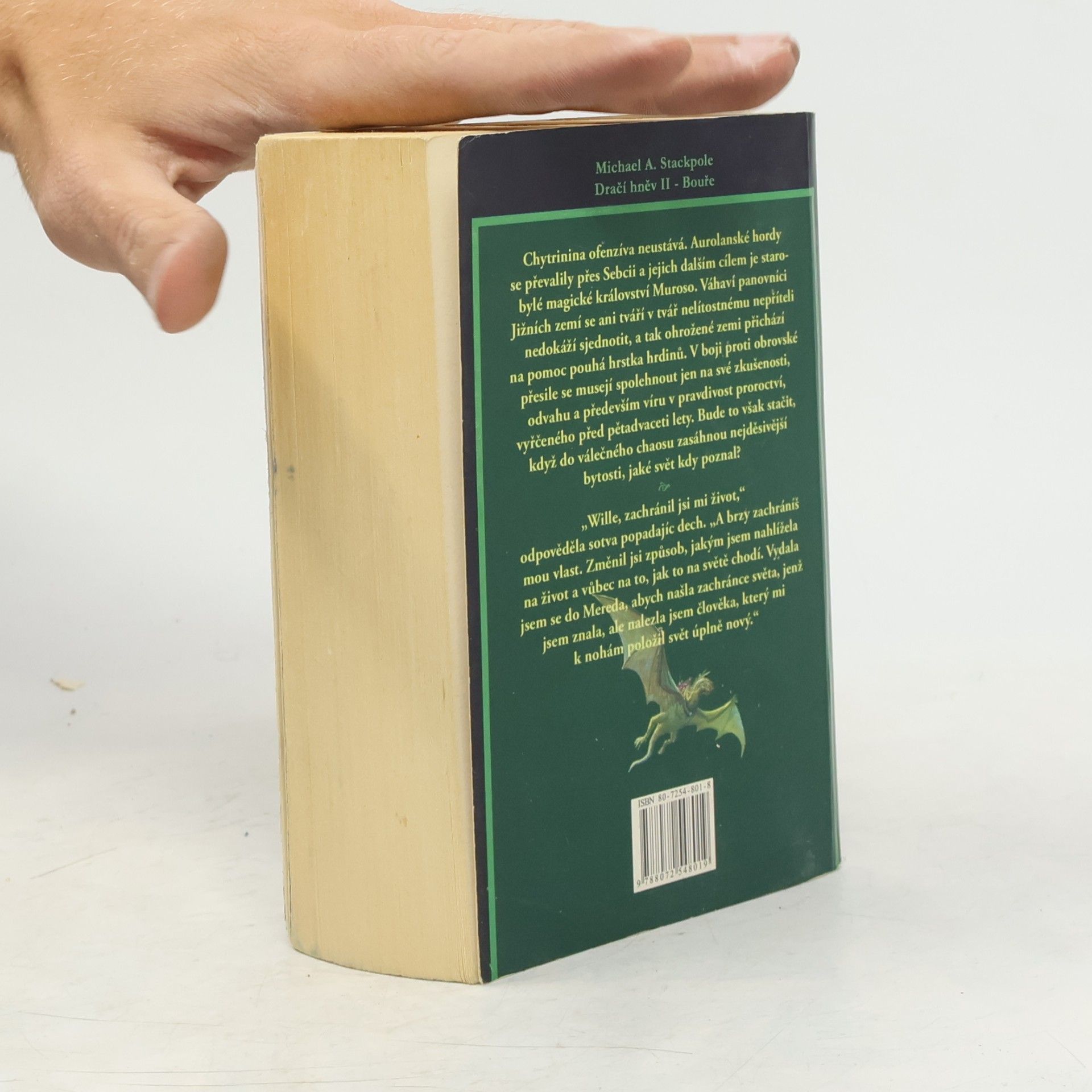 Michael A. Stackpole Bouře. Dračí hněv 2