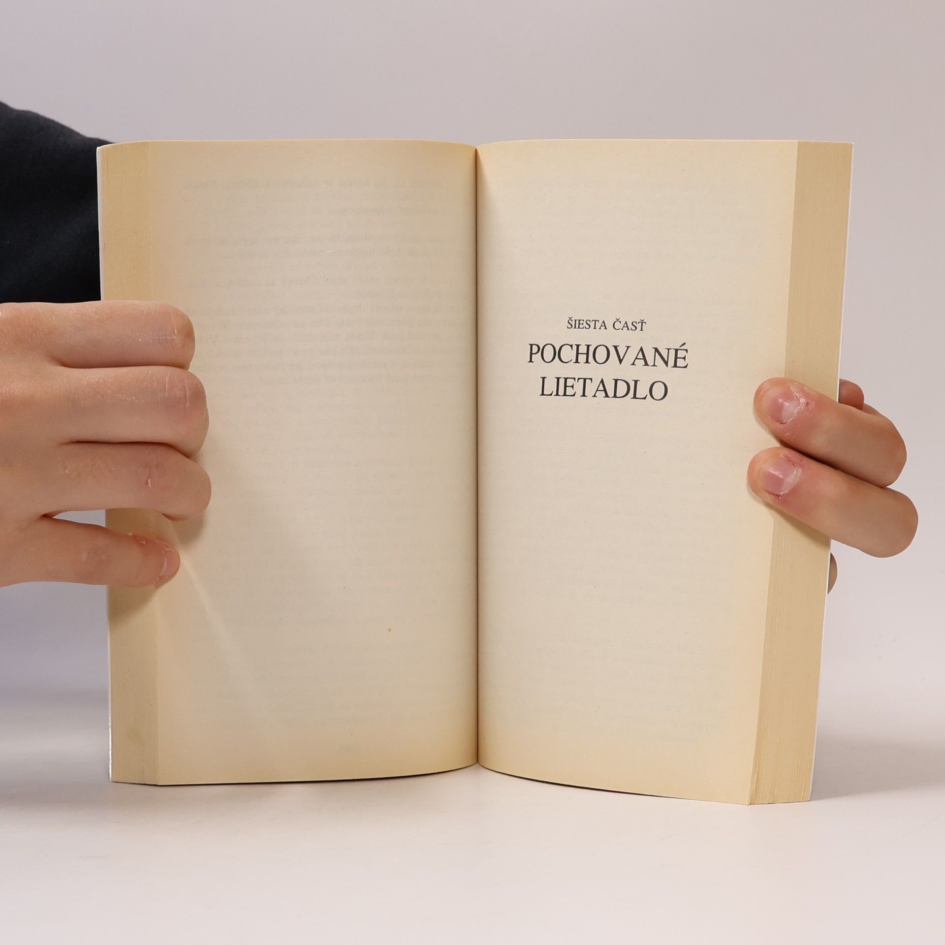 Michael Ondaatje Anglický pacient