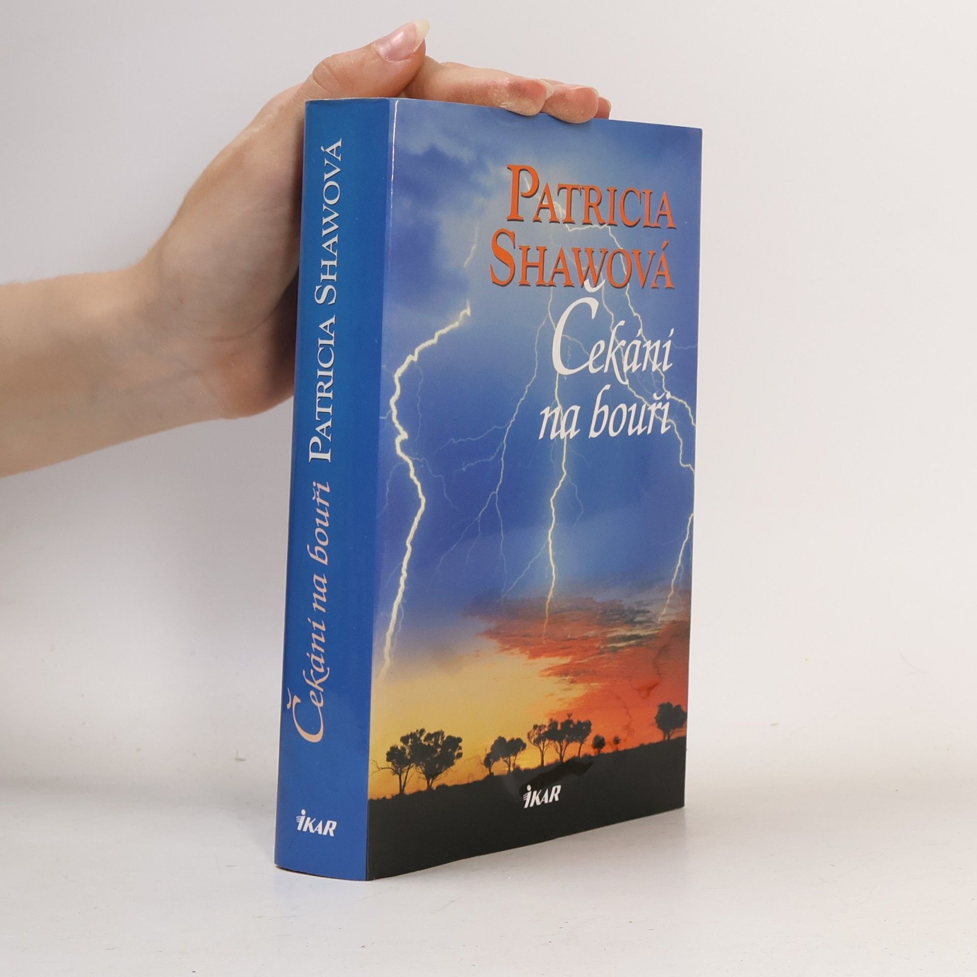 Patricia Shaw Čekání na bouři