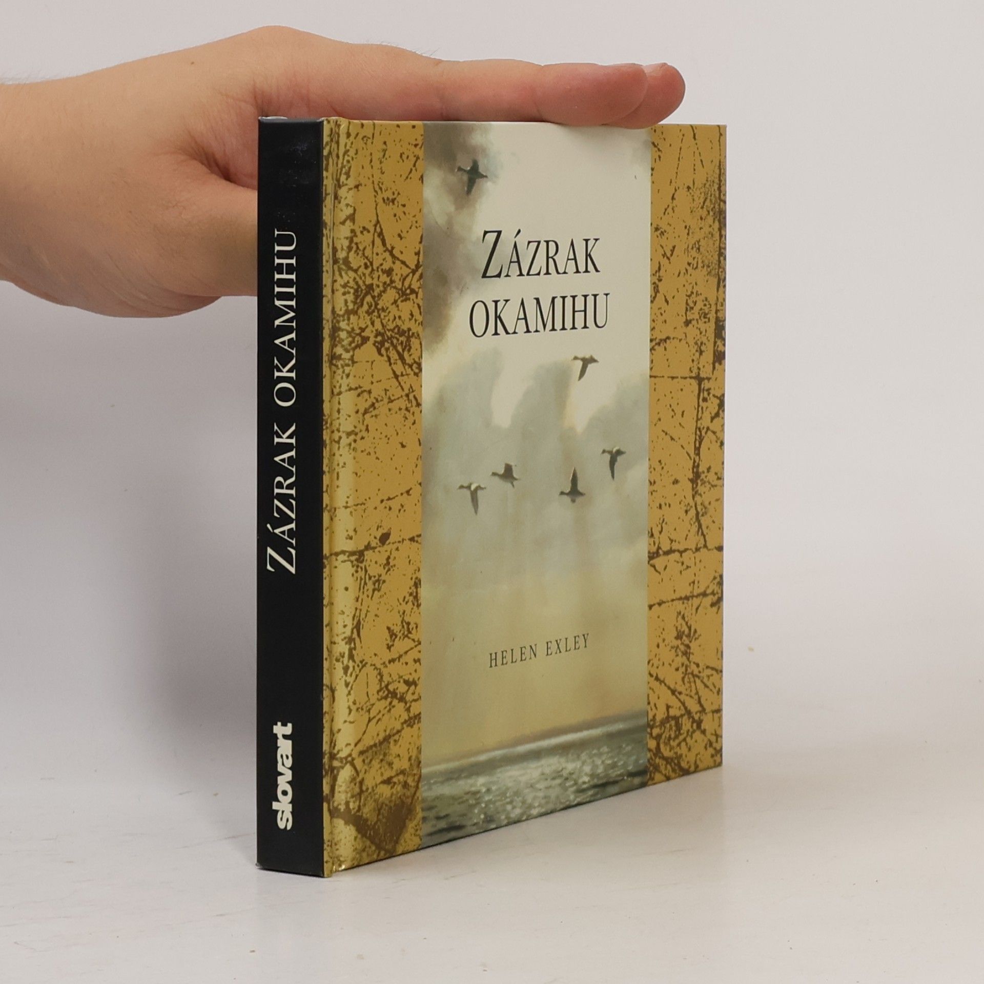 Helen Exley Zázrak okamihu