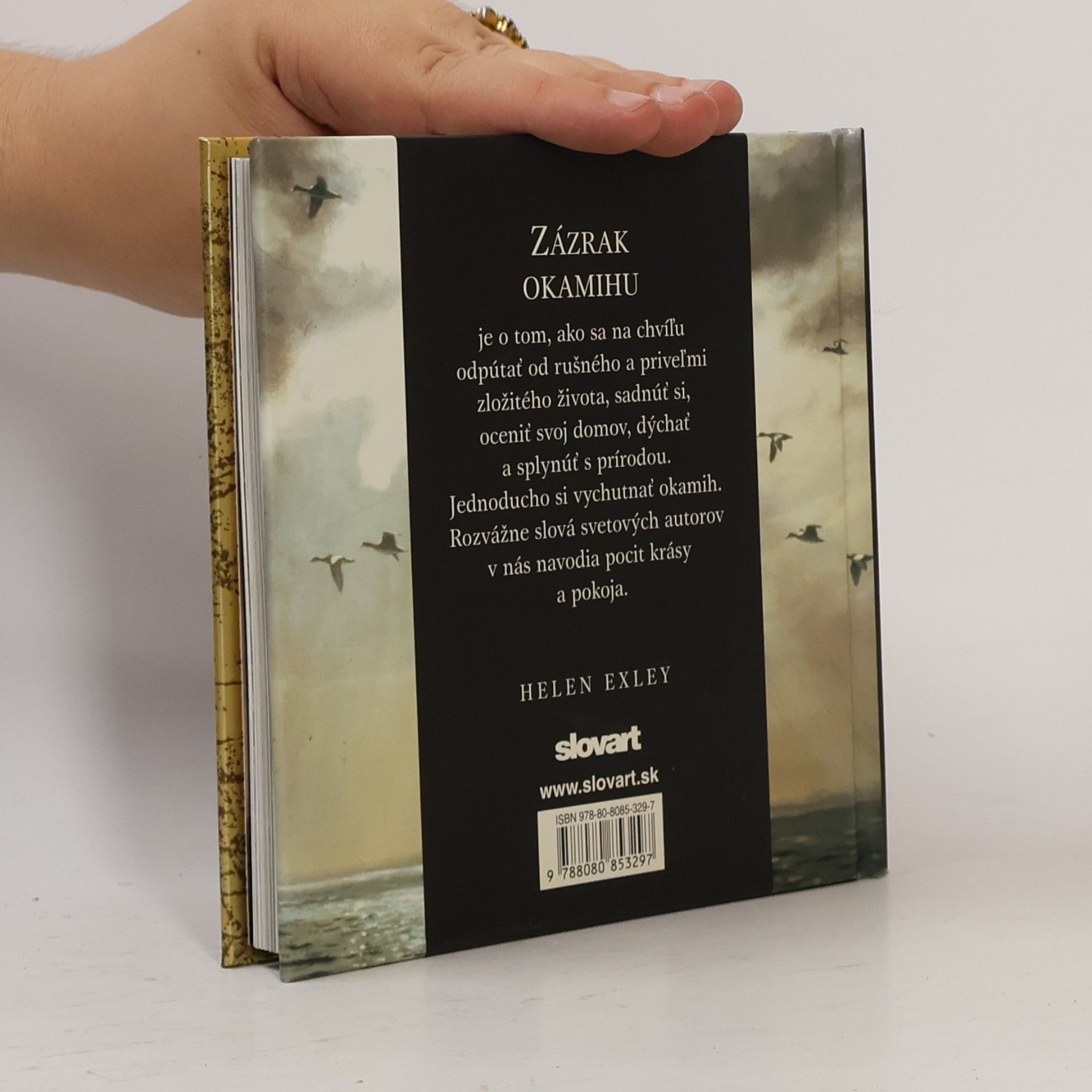 Helen Exley Zázrak okamihu