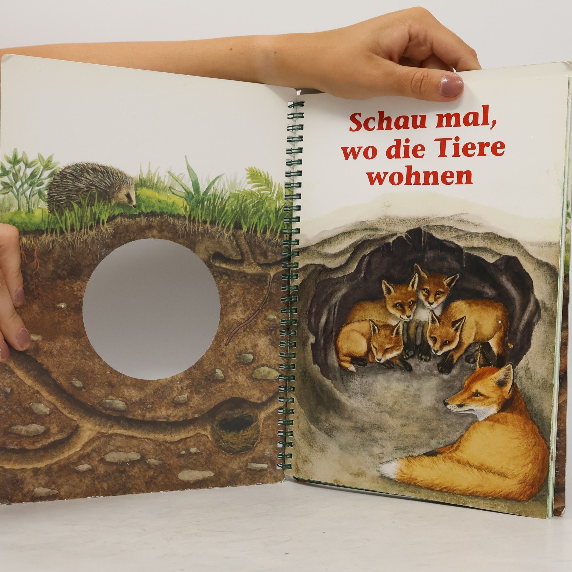 Klaus Ruhl Schau mal, wo die Tiere wohnen