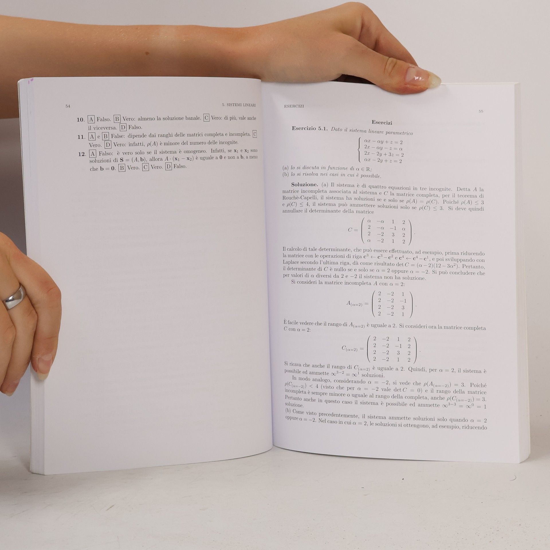 Angiolina Barani Algebra Lineare e Geometria. Quiz ed esercizi commentati e risolti - Italian Edition