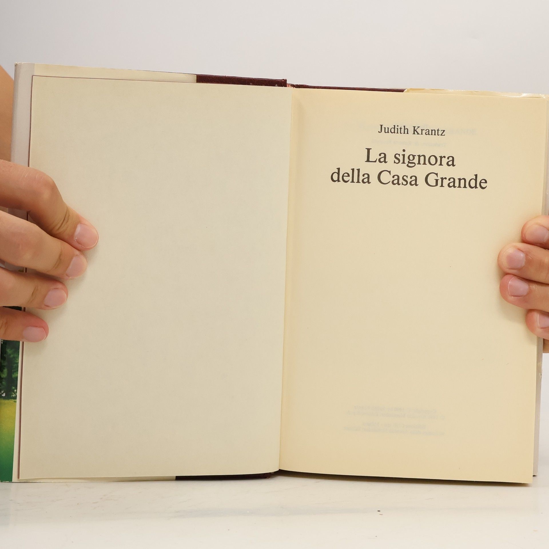 Judith Krantz La signora della casa grande