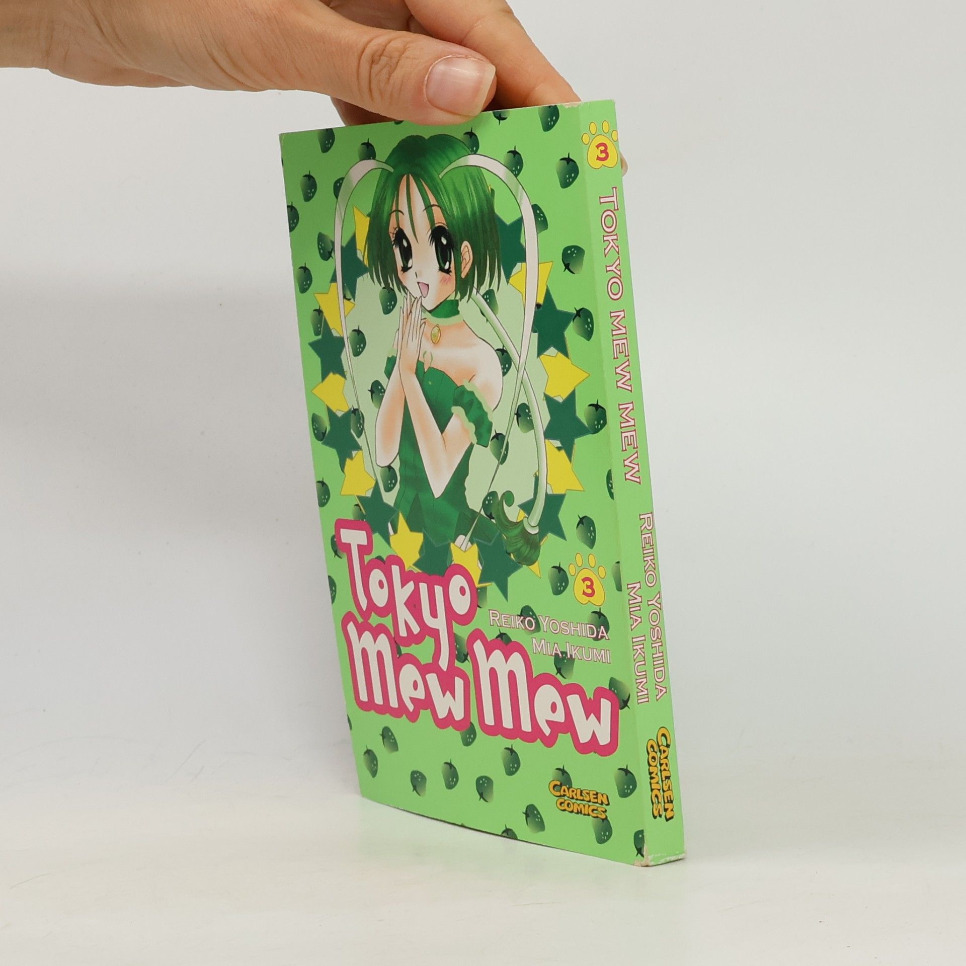 Reiko Yoshida Tokyo-mew-mew 3