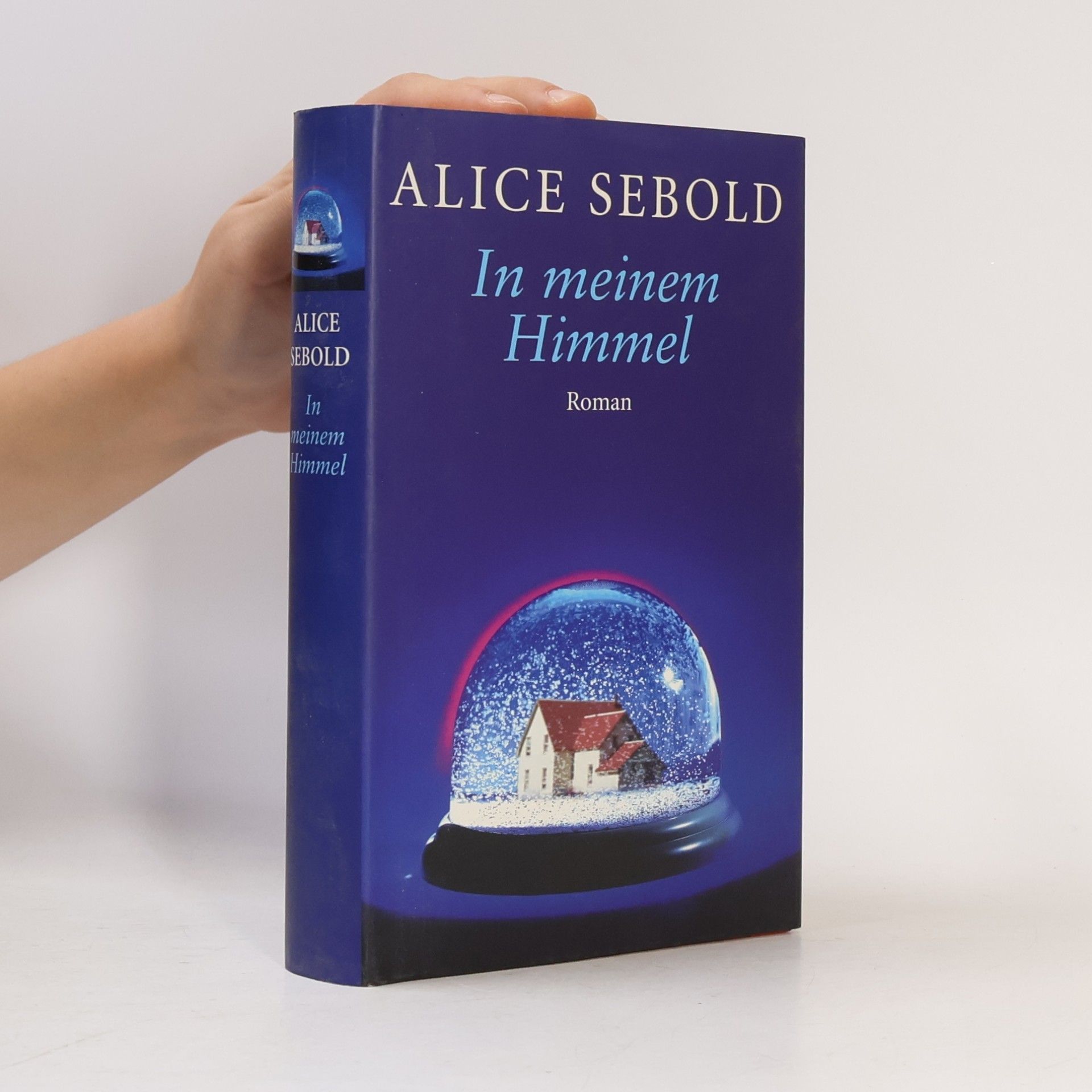 Alice Sebold In meinem Himmel