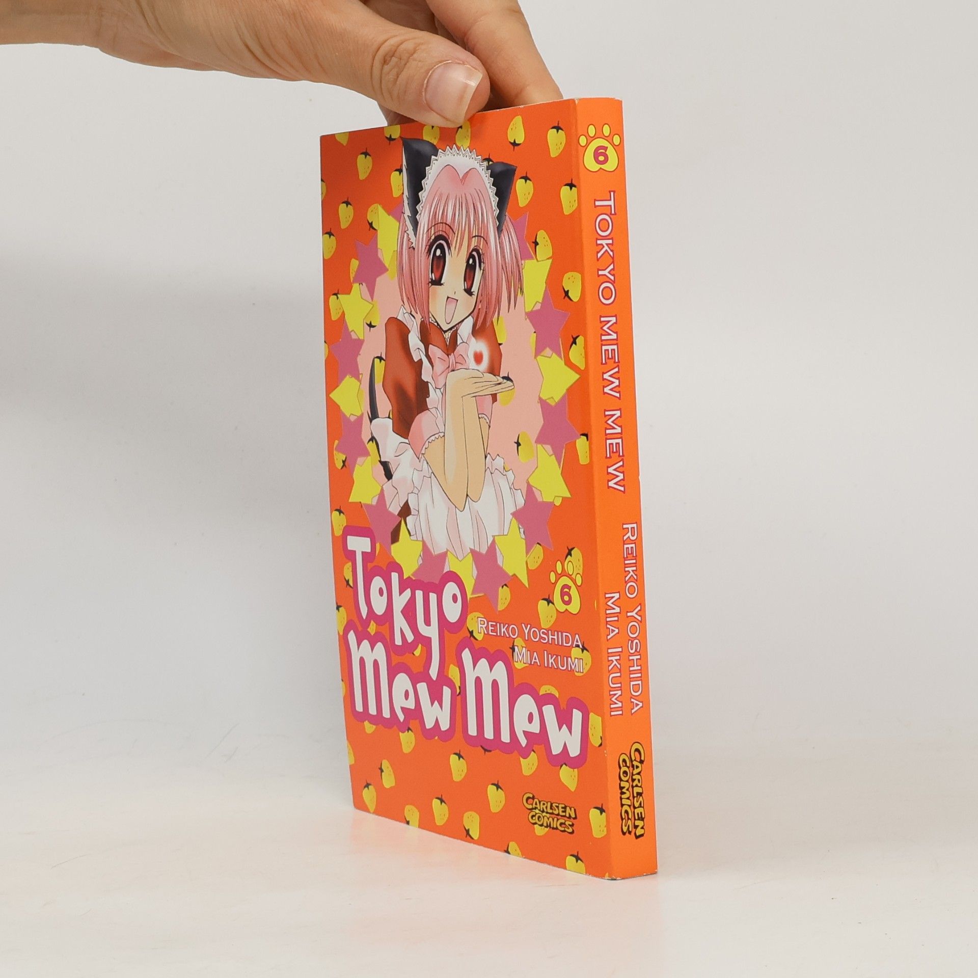 Reiko Yoshida Tokyo-mew-mew 6