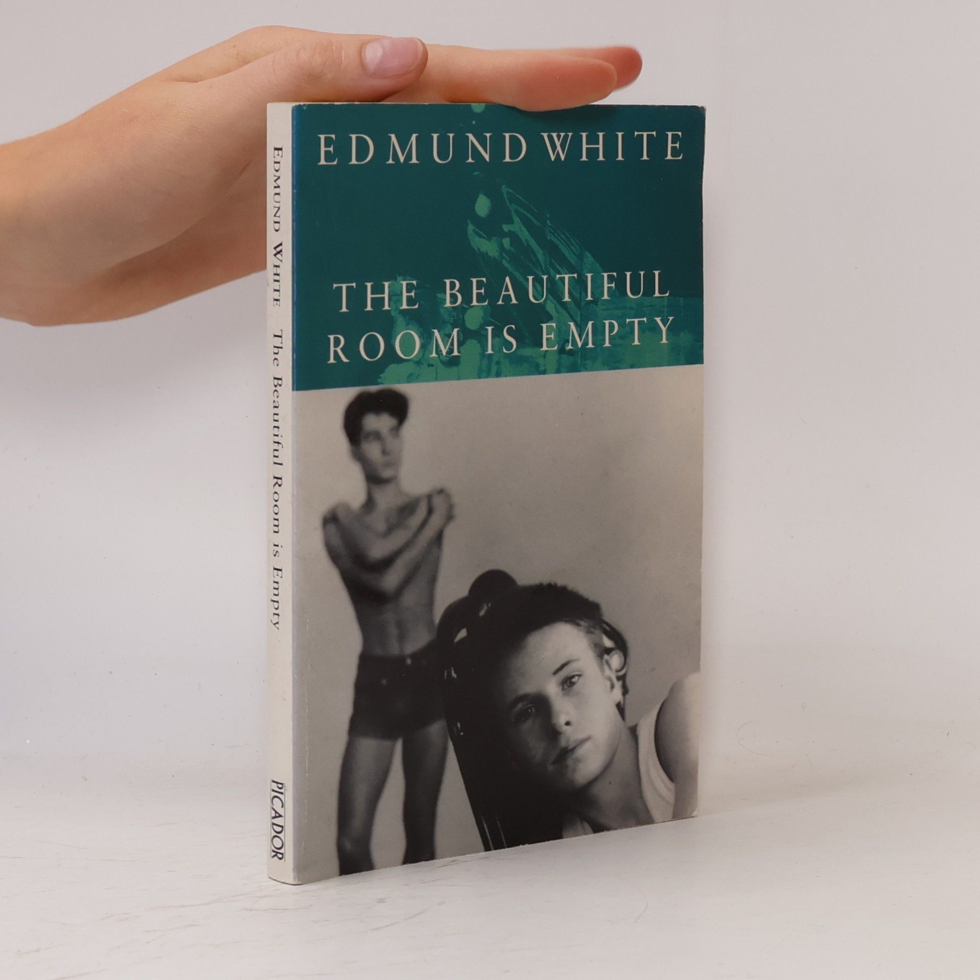 Edmund White The Beautiful Room Is Empty