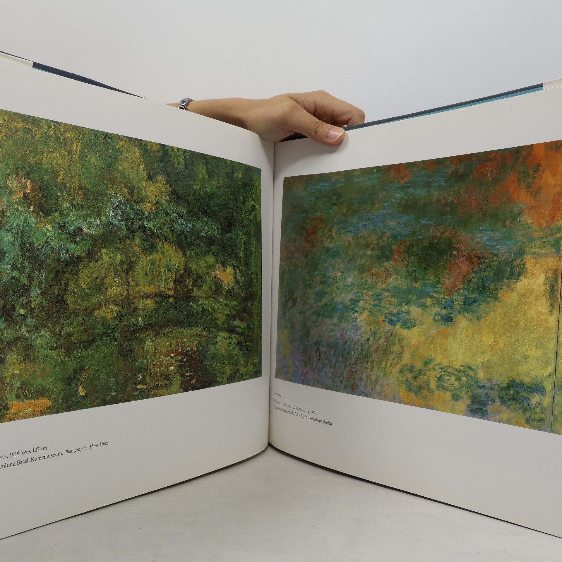Claude Monet Seerosen