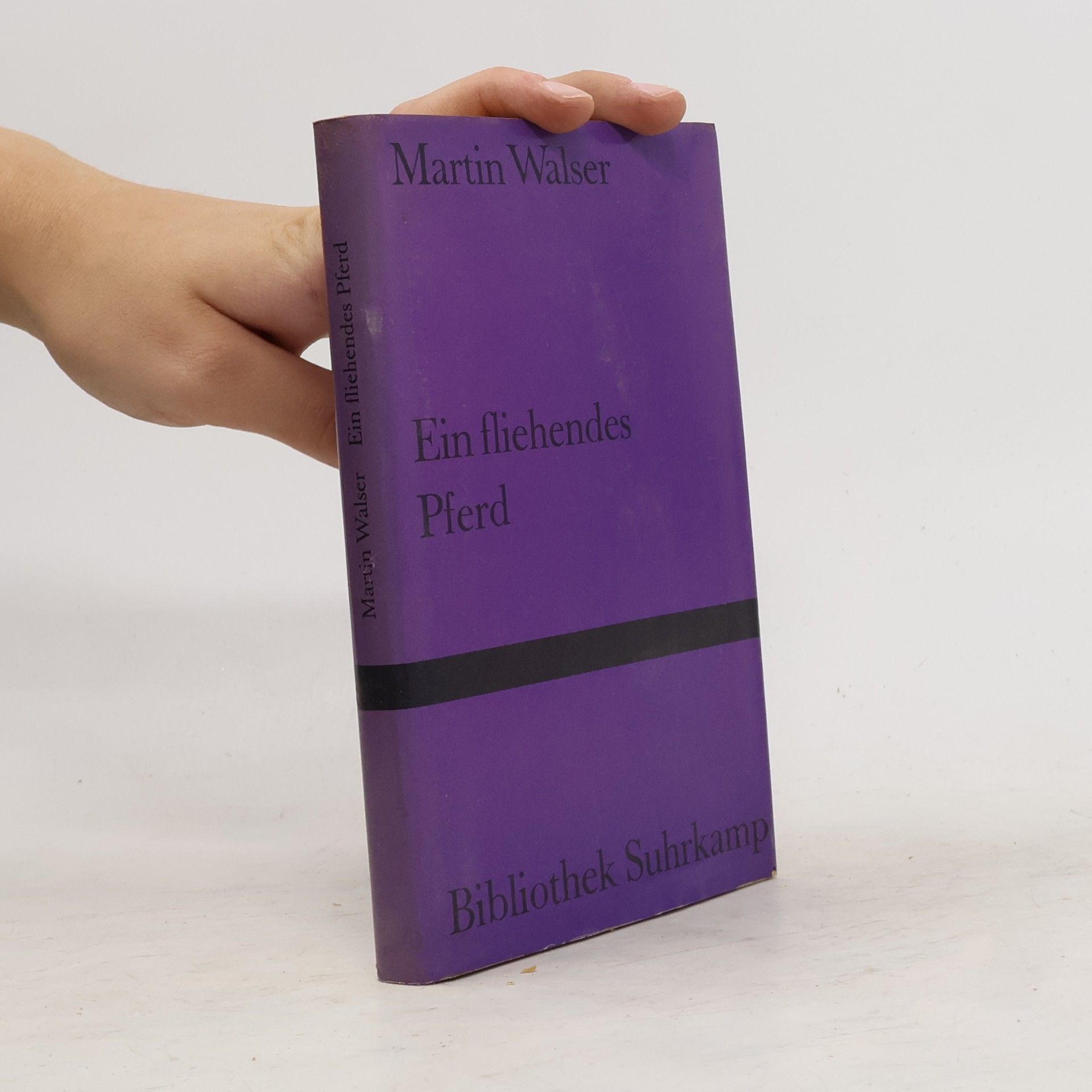 Martin Walser Ein fliehendes Pferd