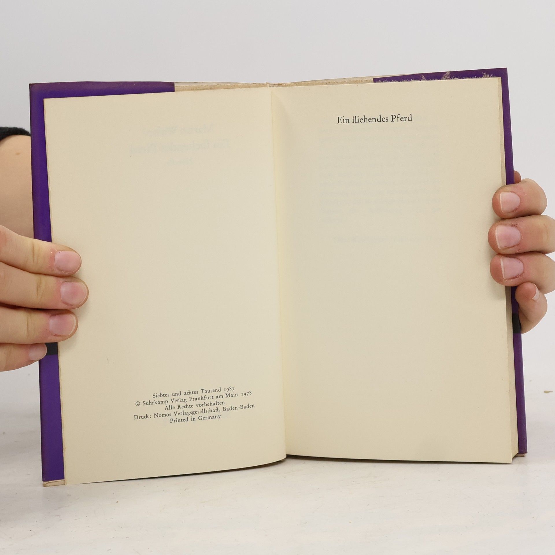 Martin Walser Ein fliehendes Pferd