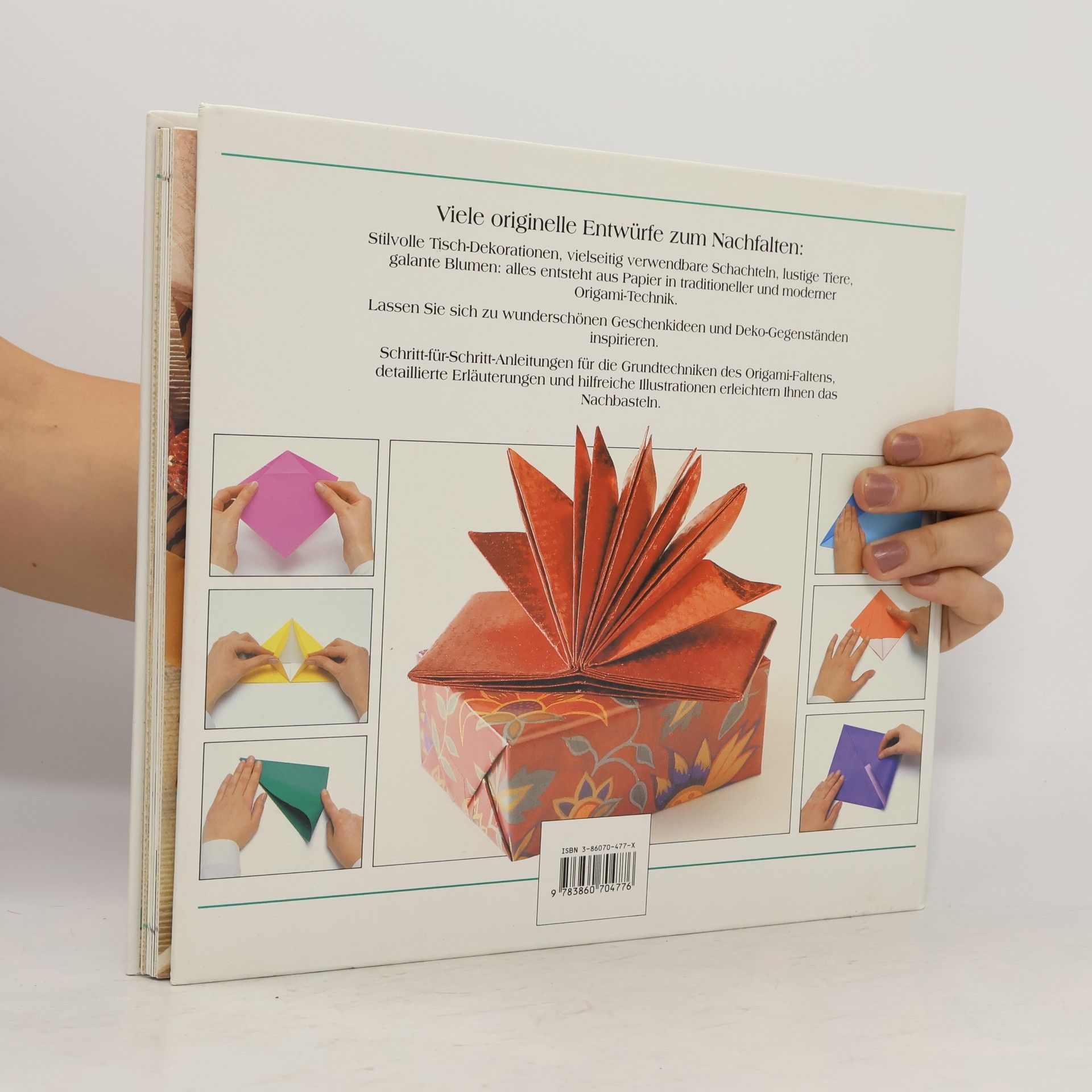 Jon Tremaine Origami.