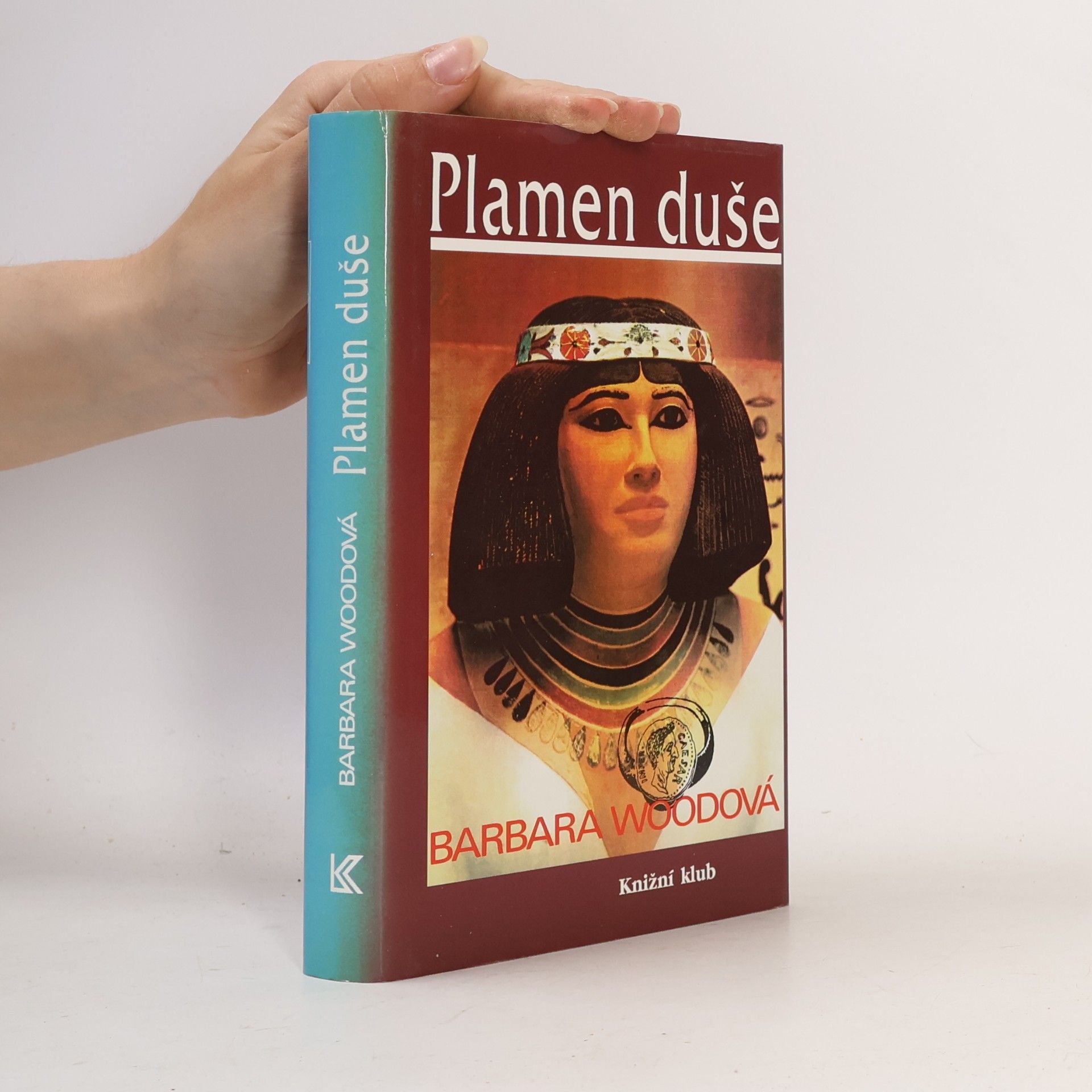 Barbara Wood Plamen duše