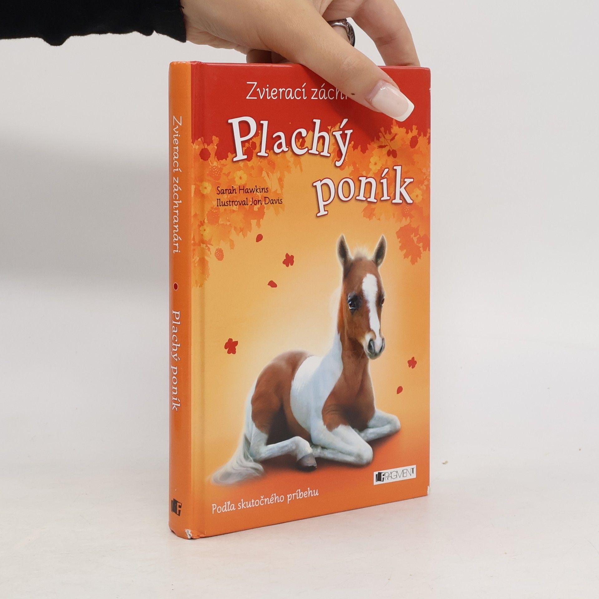 Plachý poník