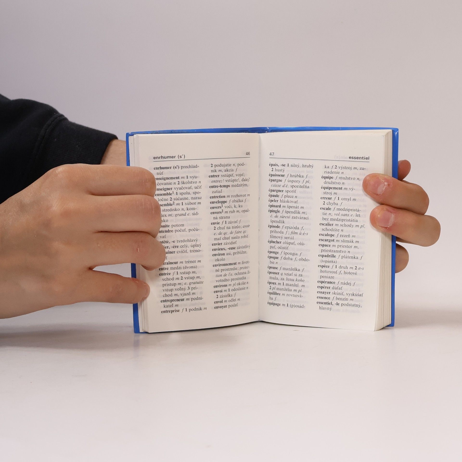 Autorenkollektiv Dictionnaire: Français-Slovaque