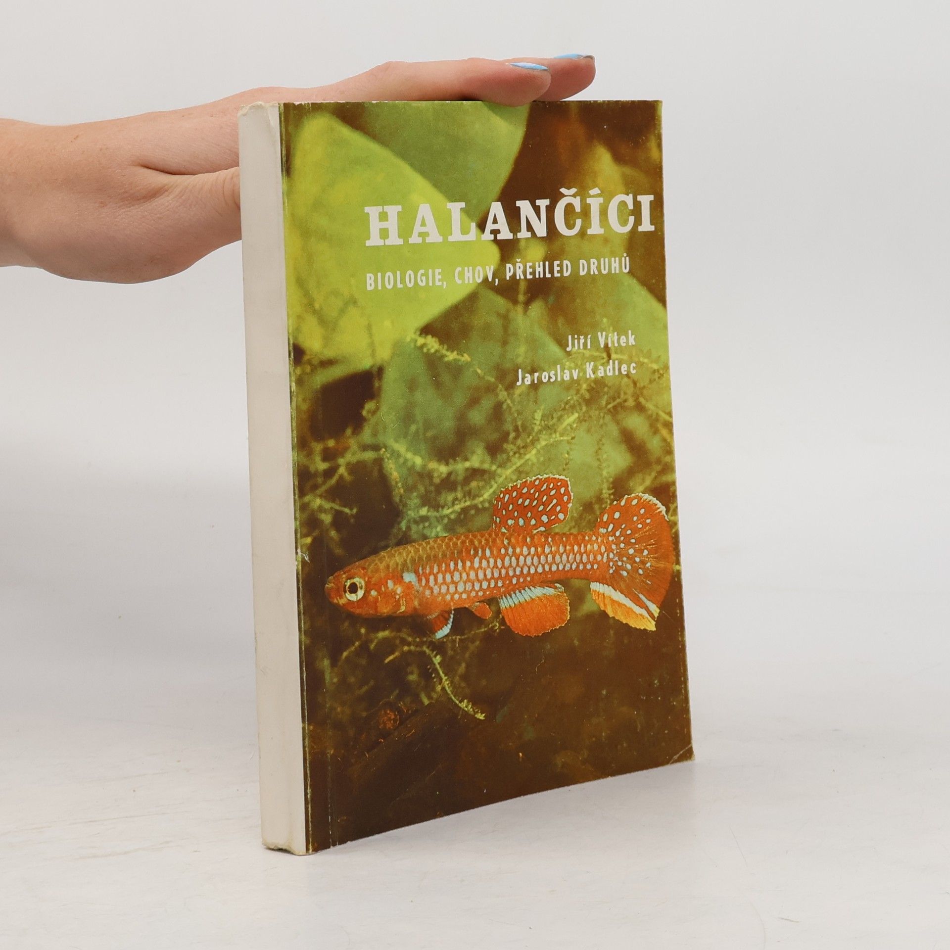 Jiří Vítek Halančíci. Biologie, chov, přehled druhů