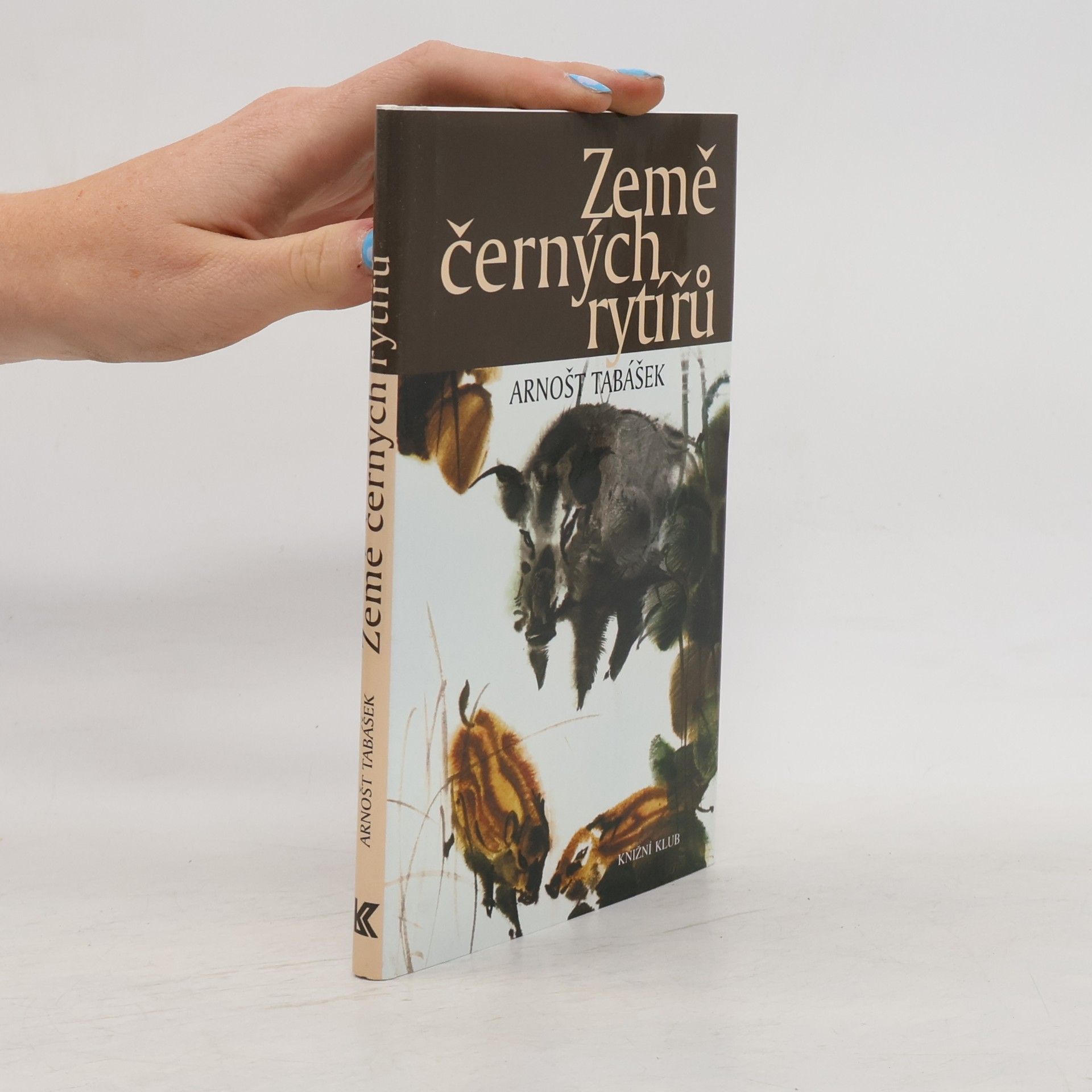 Arnošt Tabášek Země černých rytířů