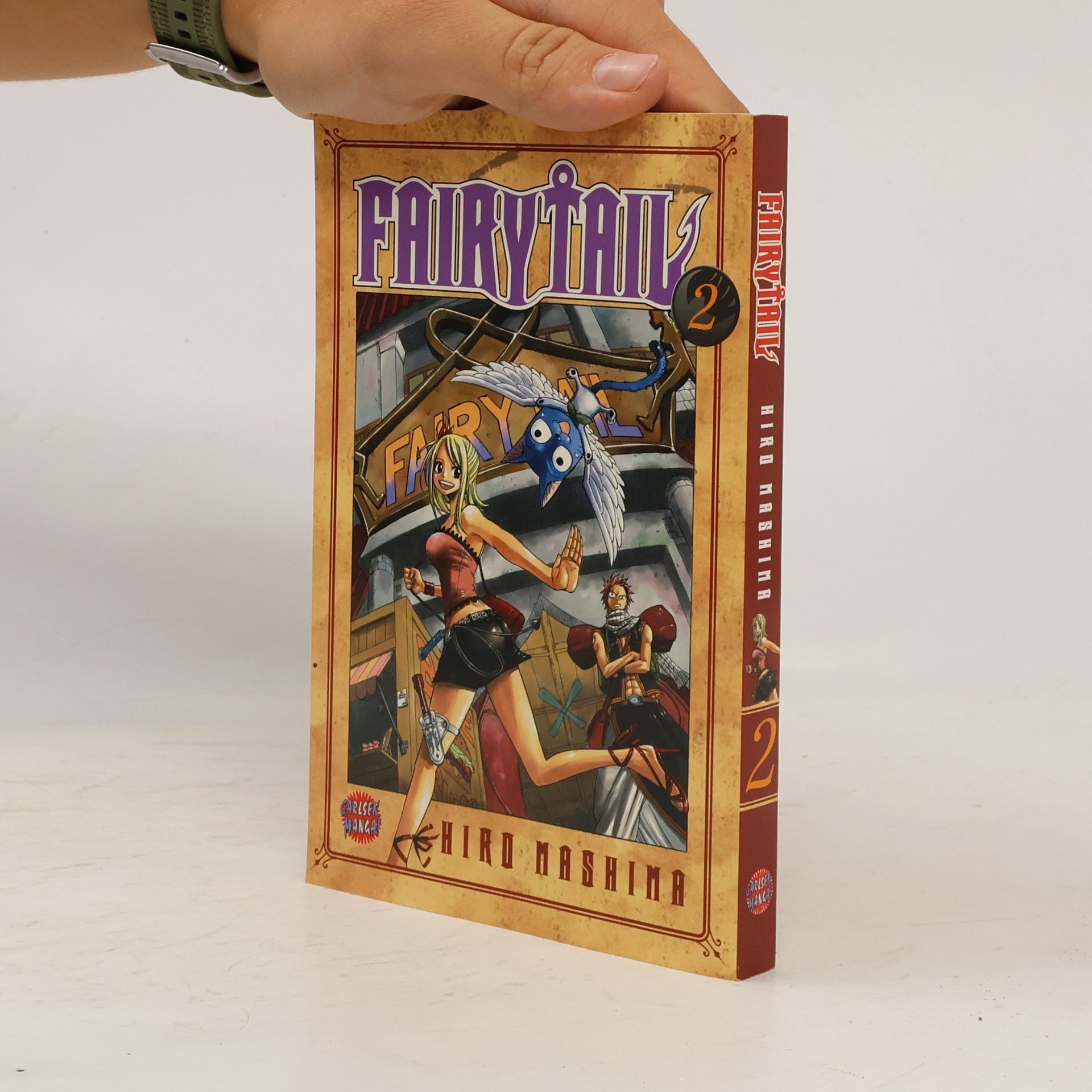 Hiro M. Fairy Tail 2