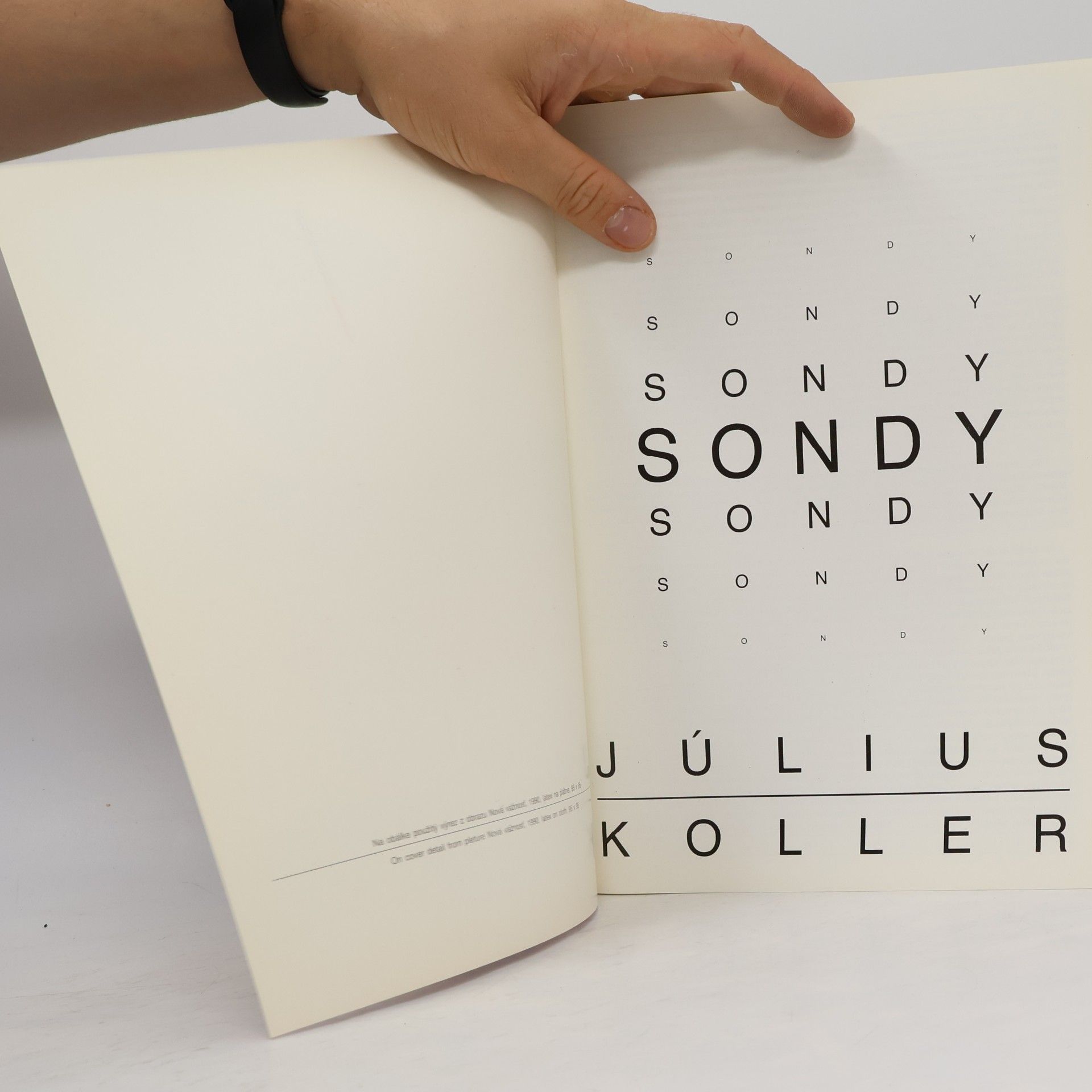 Július Koller Sondy