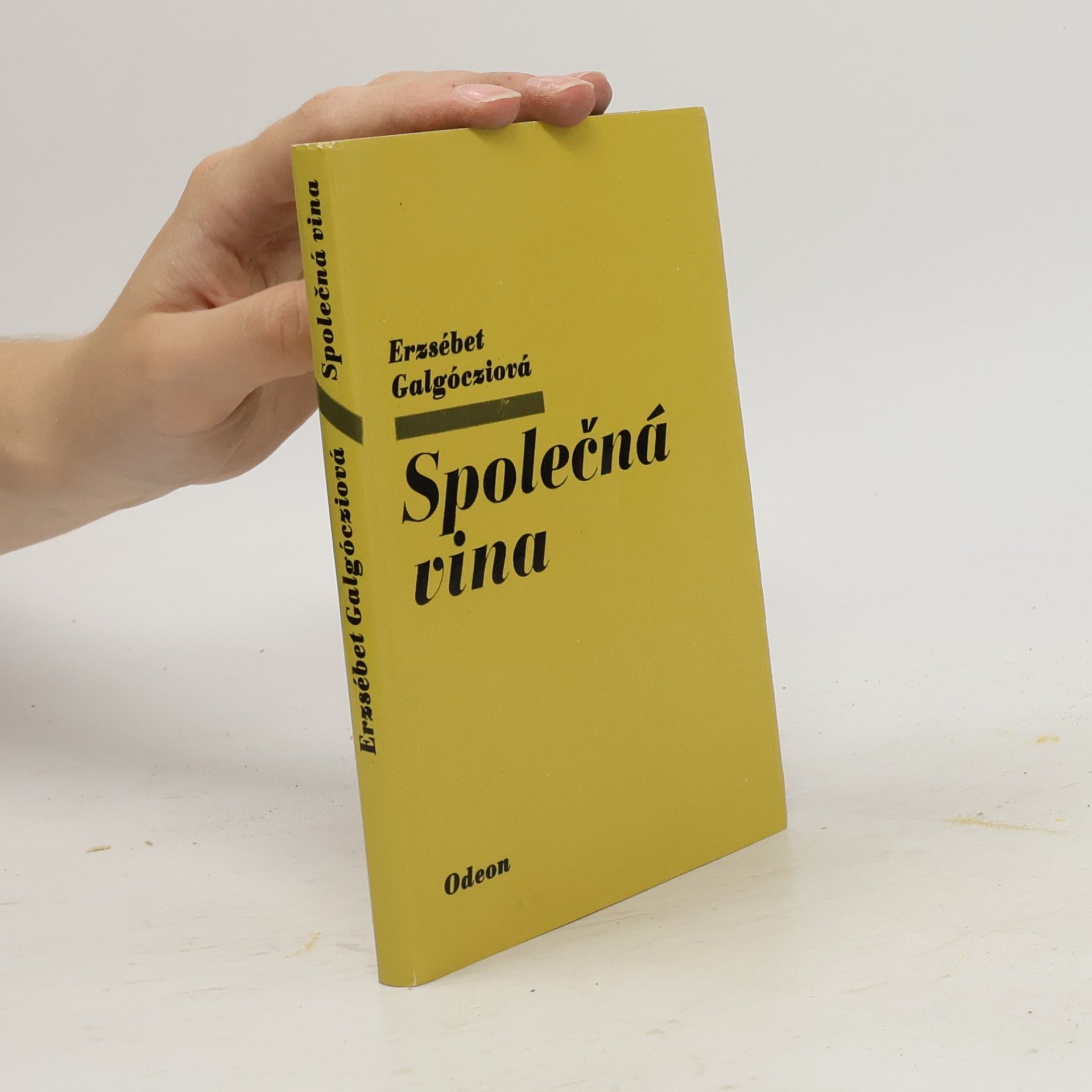 Erzsébet Galgóczi Společná vina