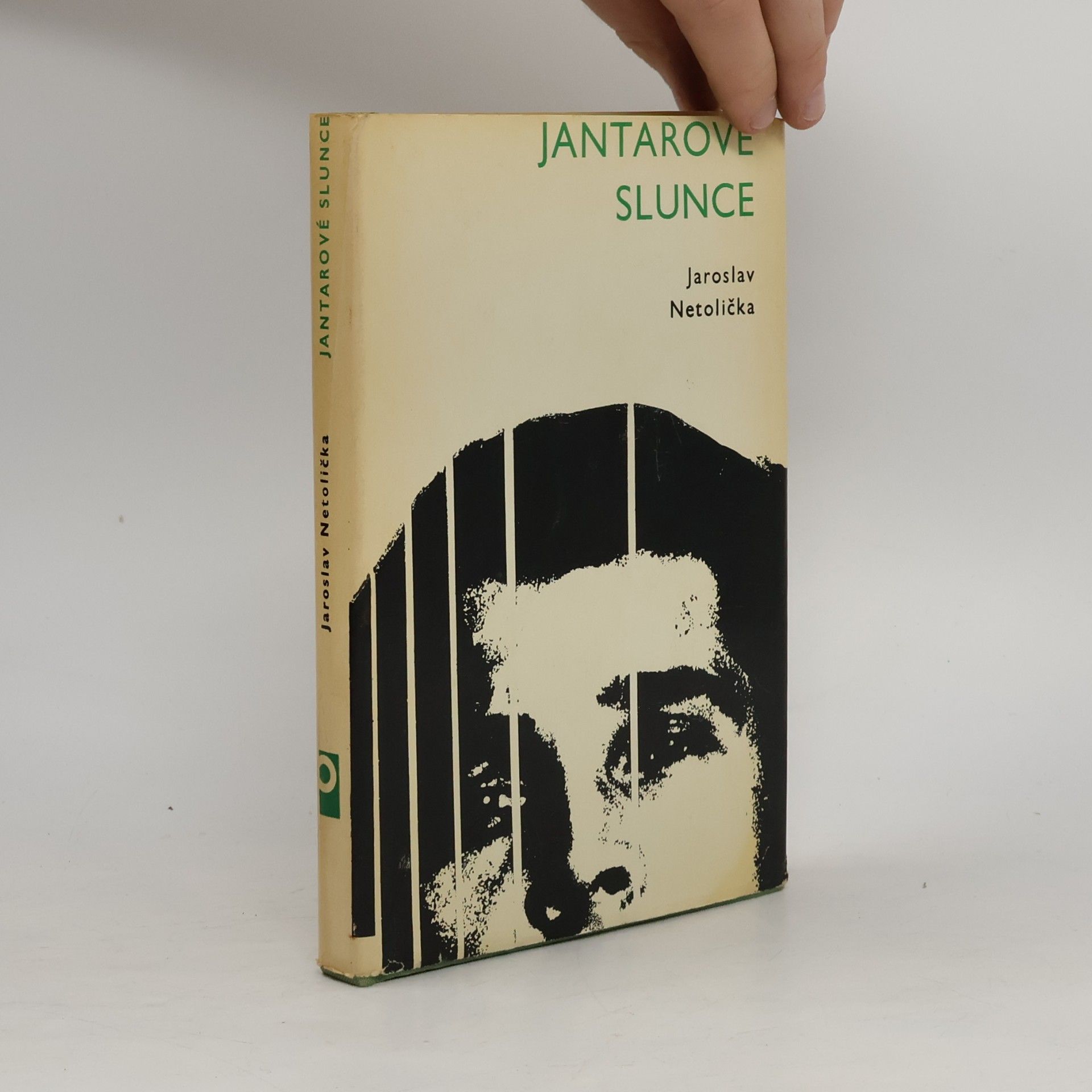 Jaroslav Netolička Jantarové slunce