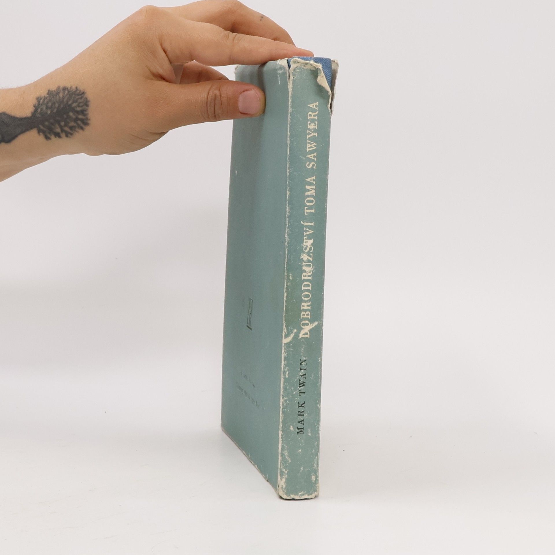 Mark Twain Dobrodružství Toma Sawyera