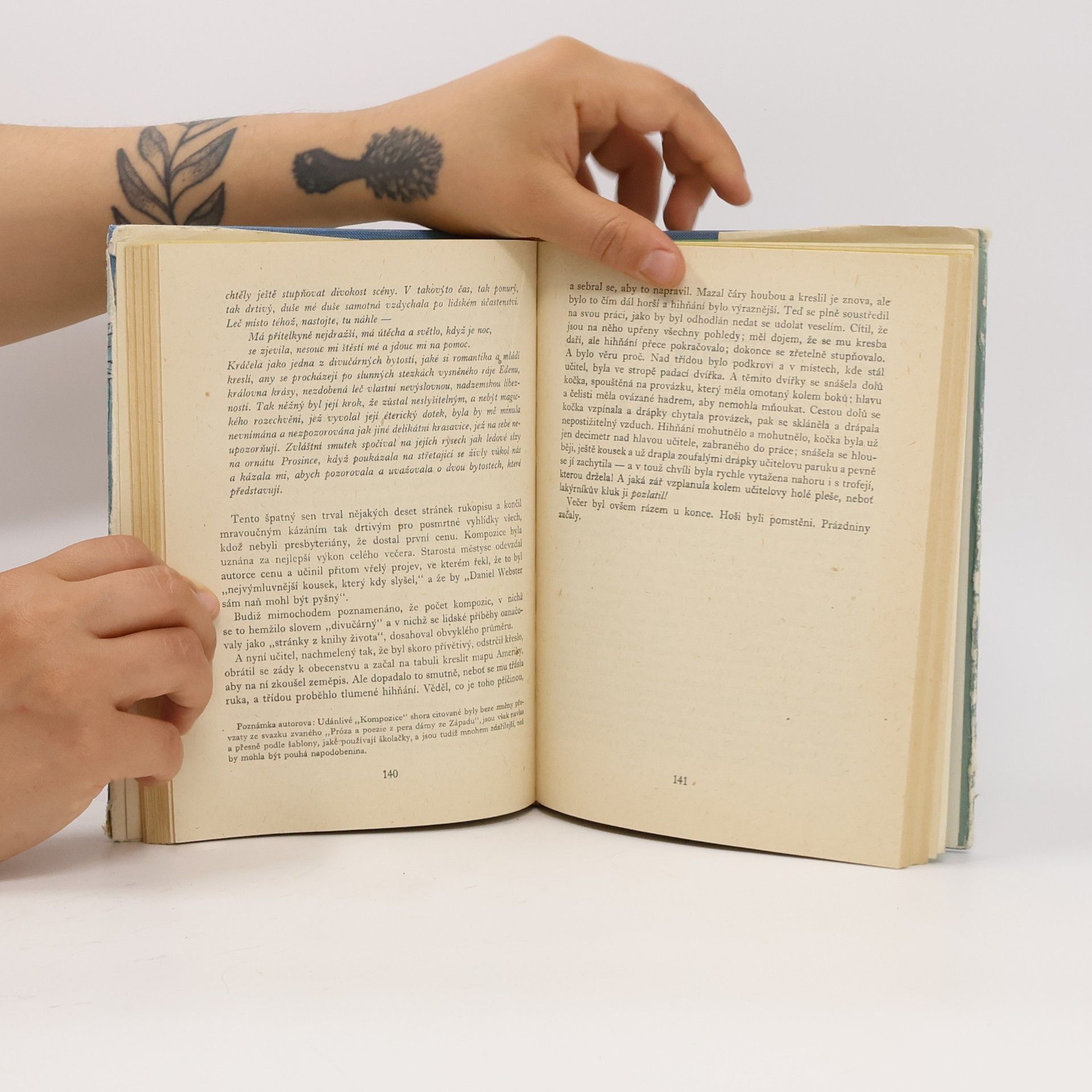 Mark Twain Dobrodružství Toma Sawyera