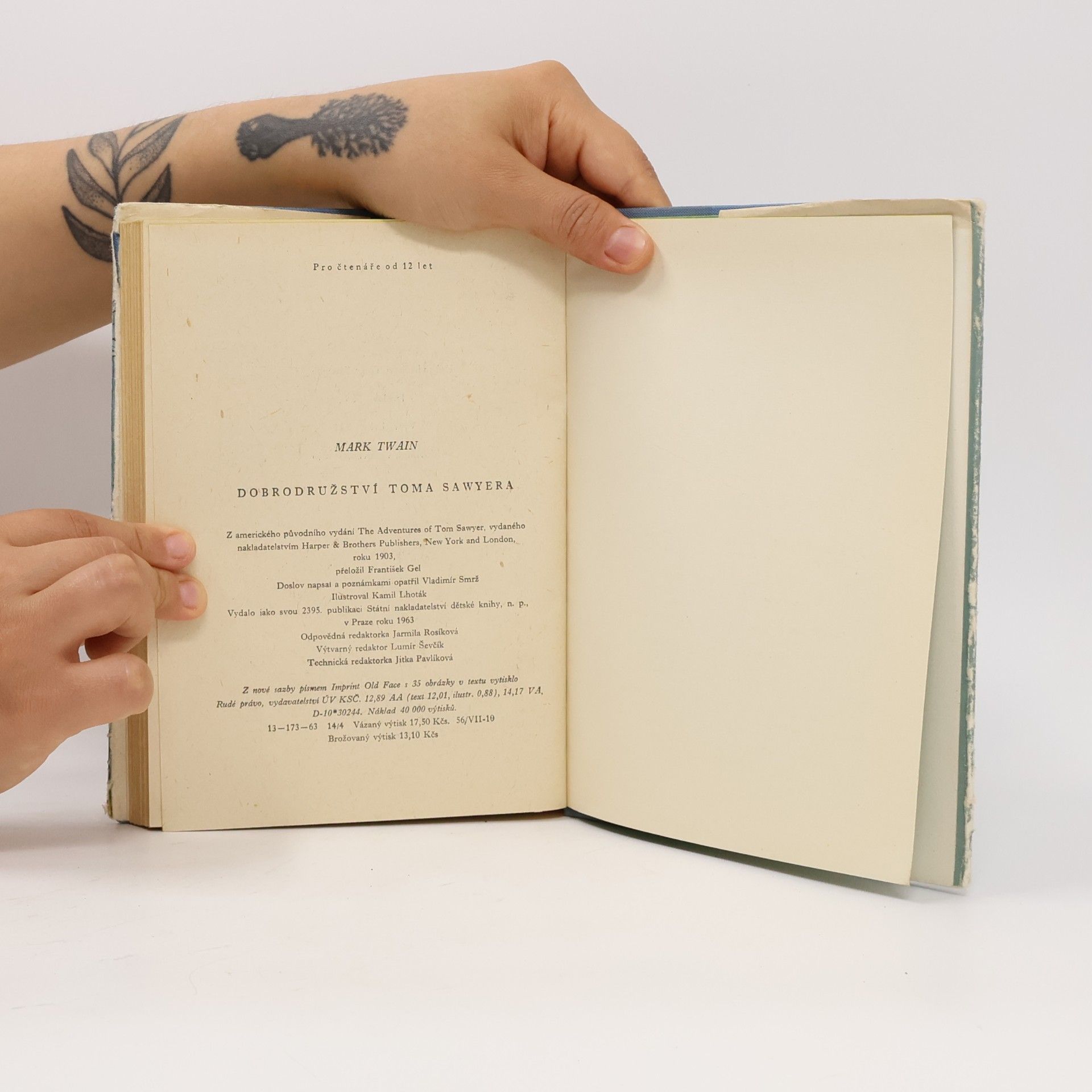 Mark Twain Dobrodružství Toma Sawyera