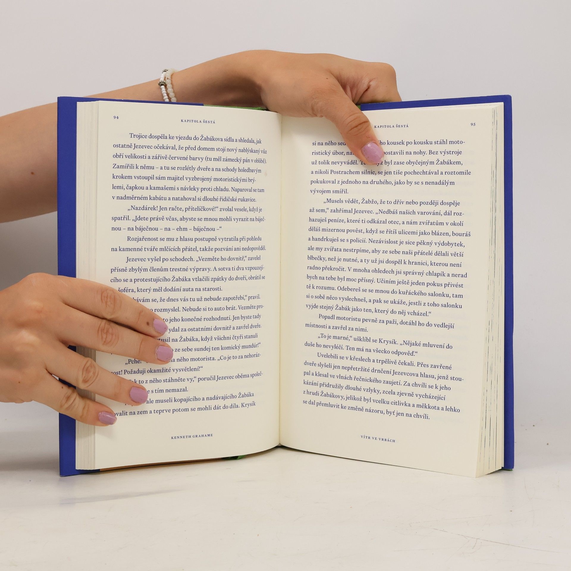 Kenneth Grahame Vítr ve vrbách, aneb, Dobrodružství pana Žabáka a jeho přátel od řeky