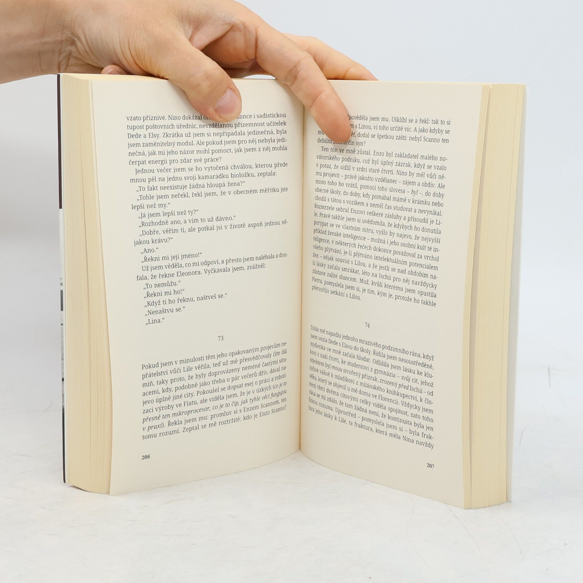 Elena Ferrante Příběh ztracené holčičky. Geniální přítelkyně. 4. díl