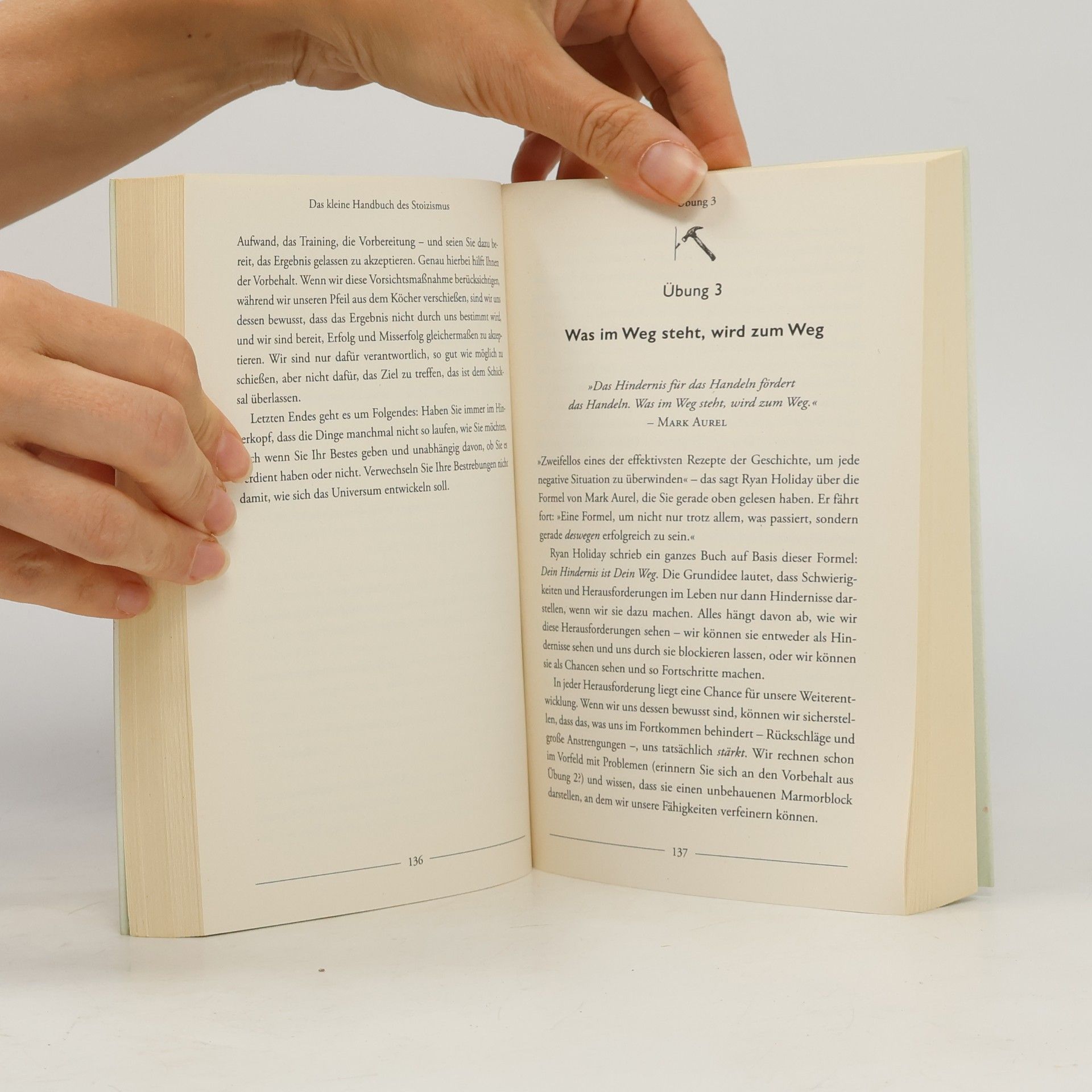 Jonas Salzgeber Das kleine Handbuch des Stoizismus