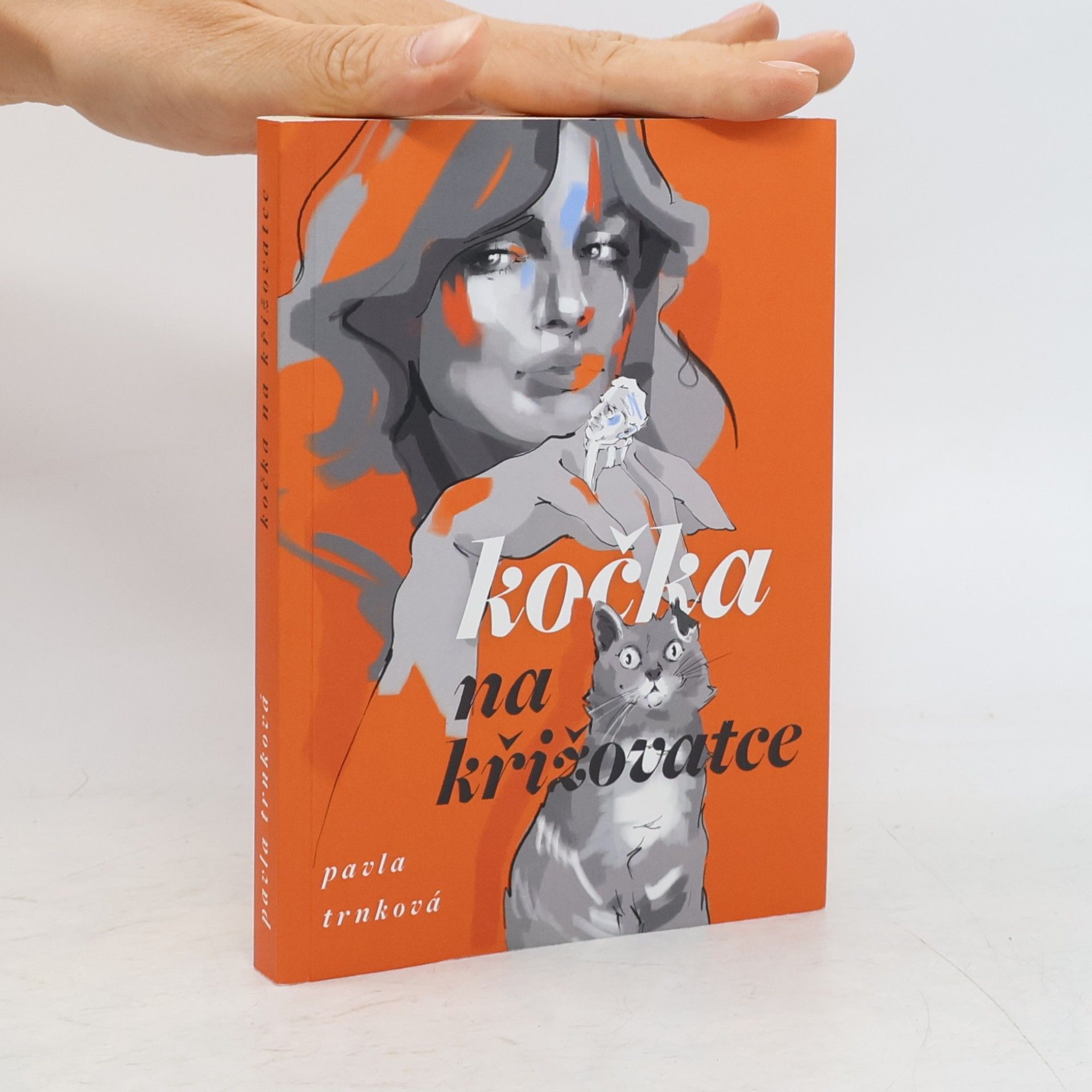 Pavla Trnková Kočka na křižovatce