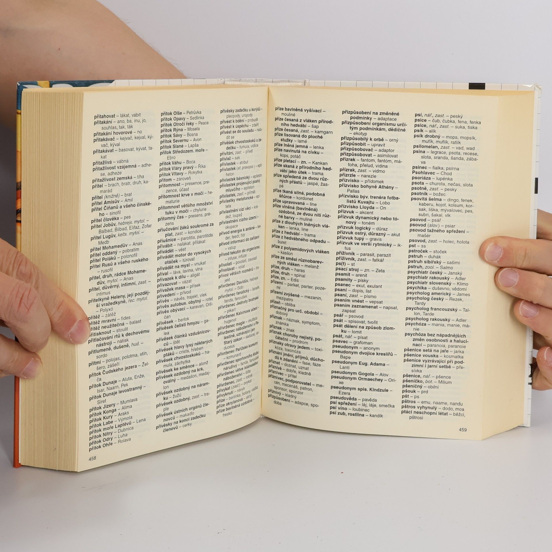 Autorenkollektiv Slovník pro luštitele křížovek