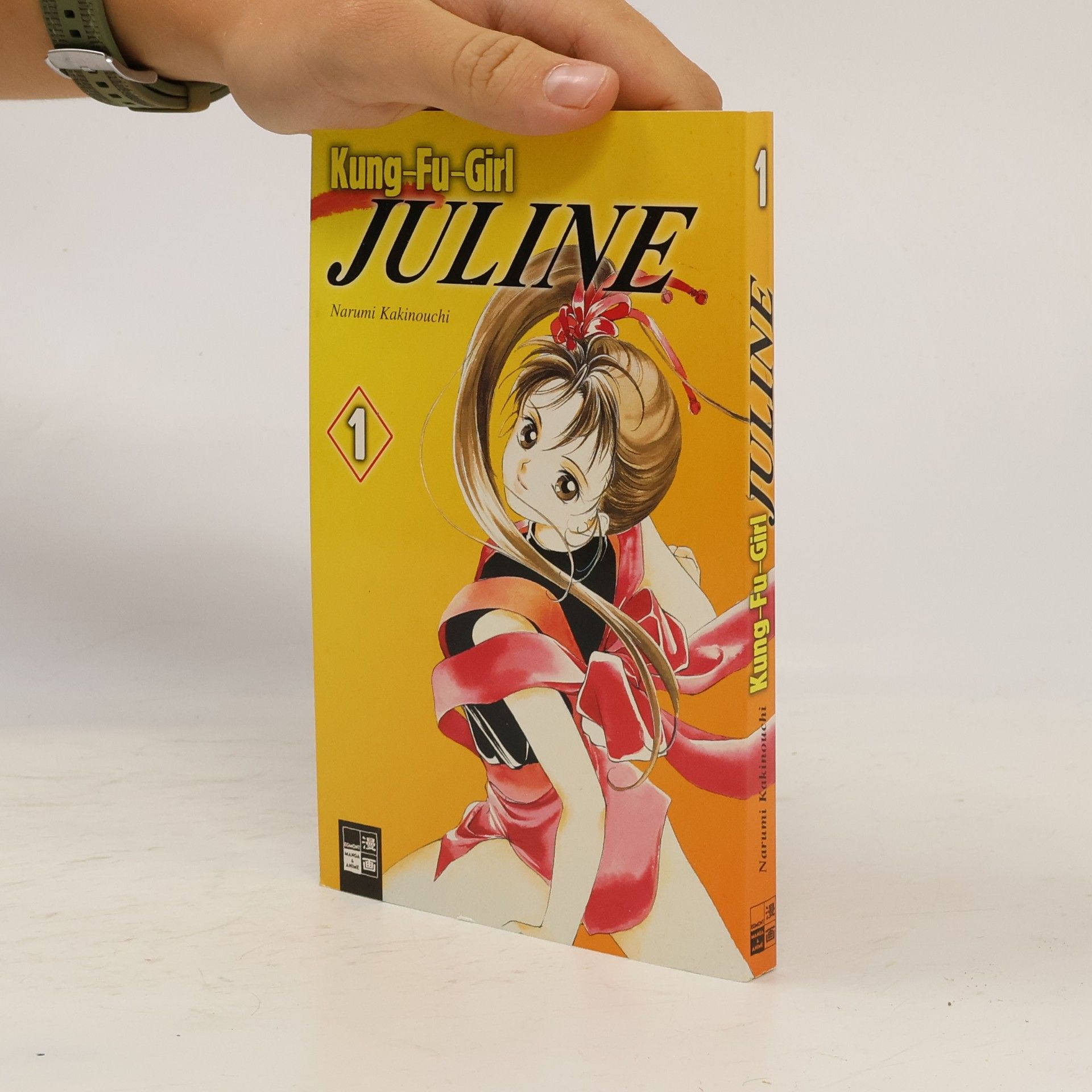 Autorenkollektiv Kung-Fu-Girl Juline