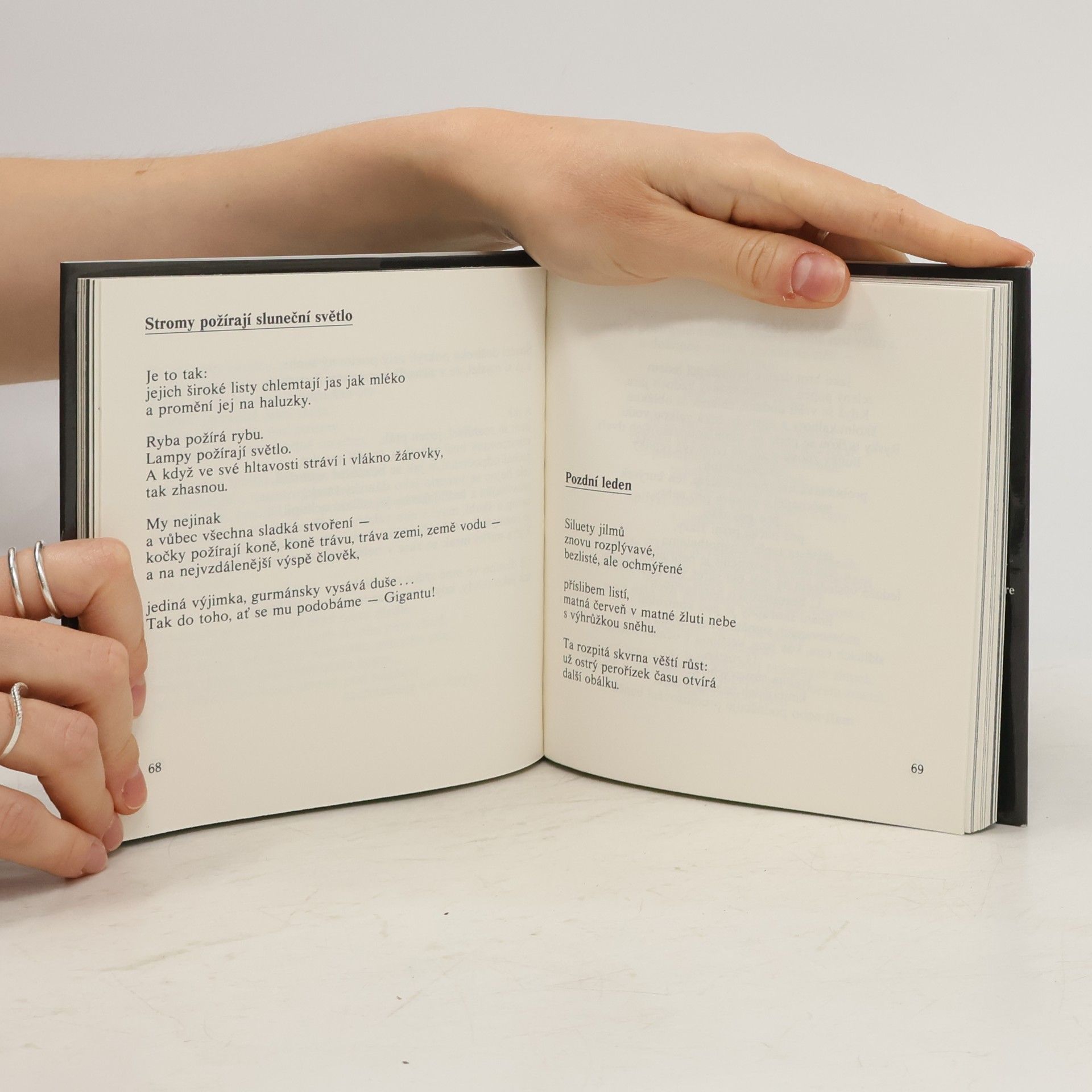 John Updike Domácí biograf