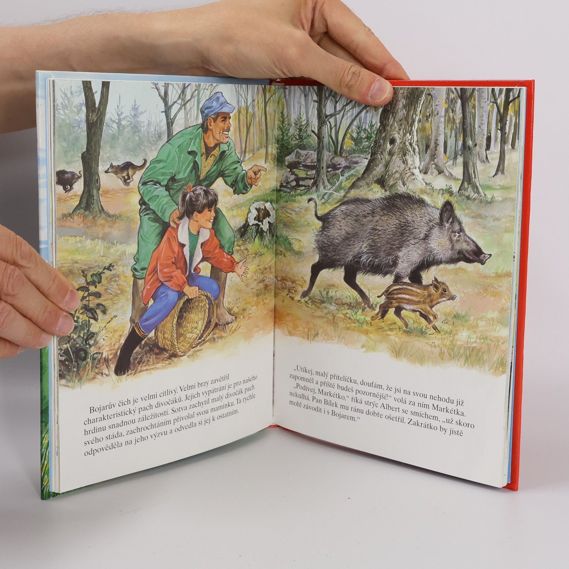 Kolektiv autorů Markétka a Bojar