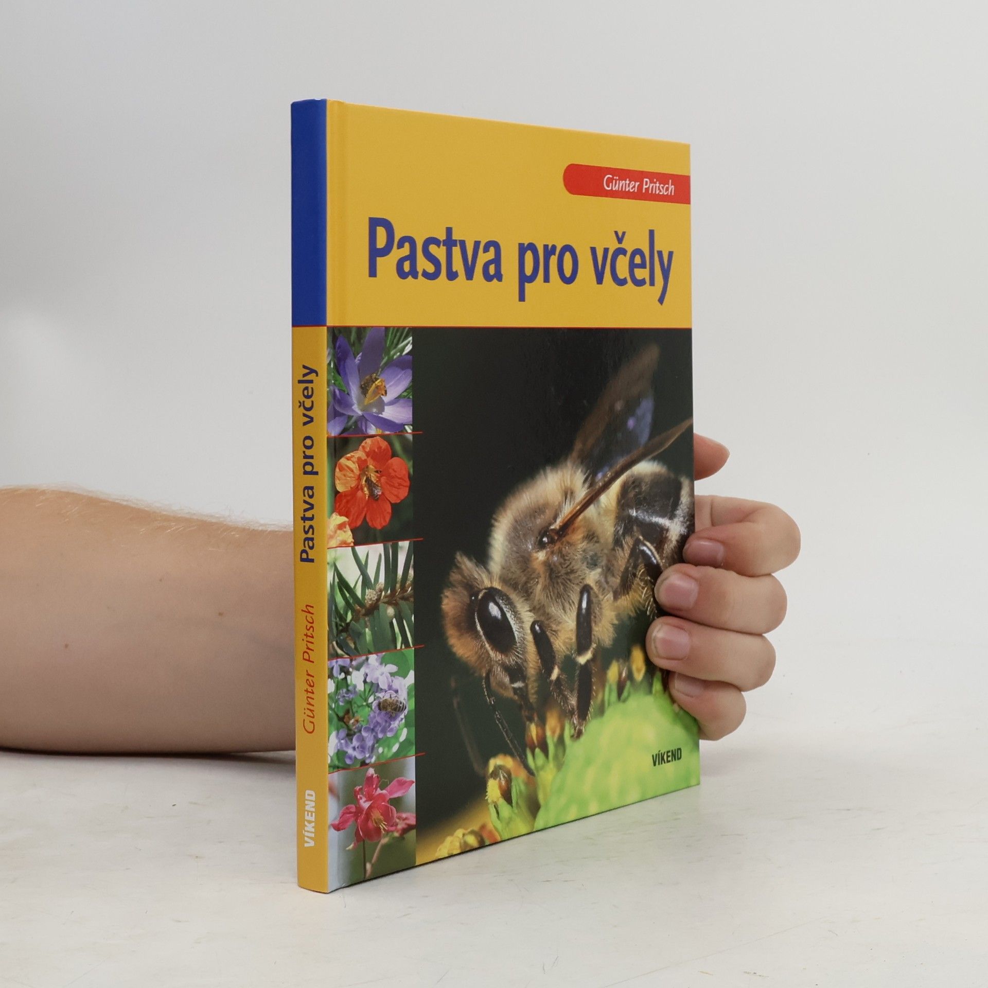 Günter Pritsch Pastva pro včely