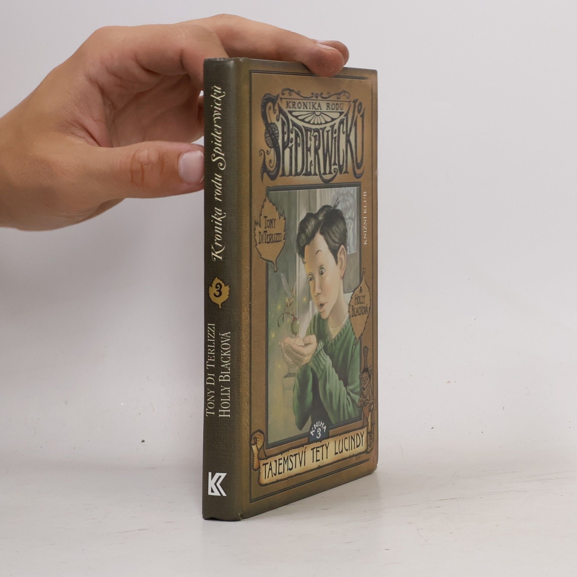 Tony DiTerlizzi Kronika rodu Spiderwicků. Kniha 3, Tajemství tety Lucindy